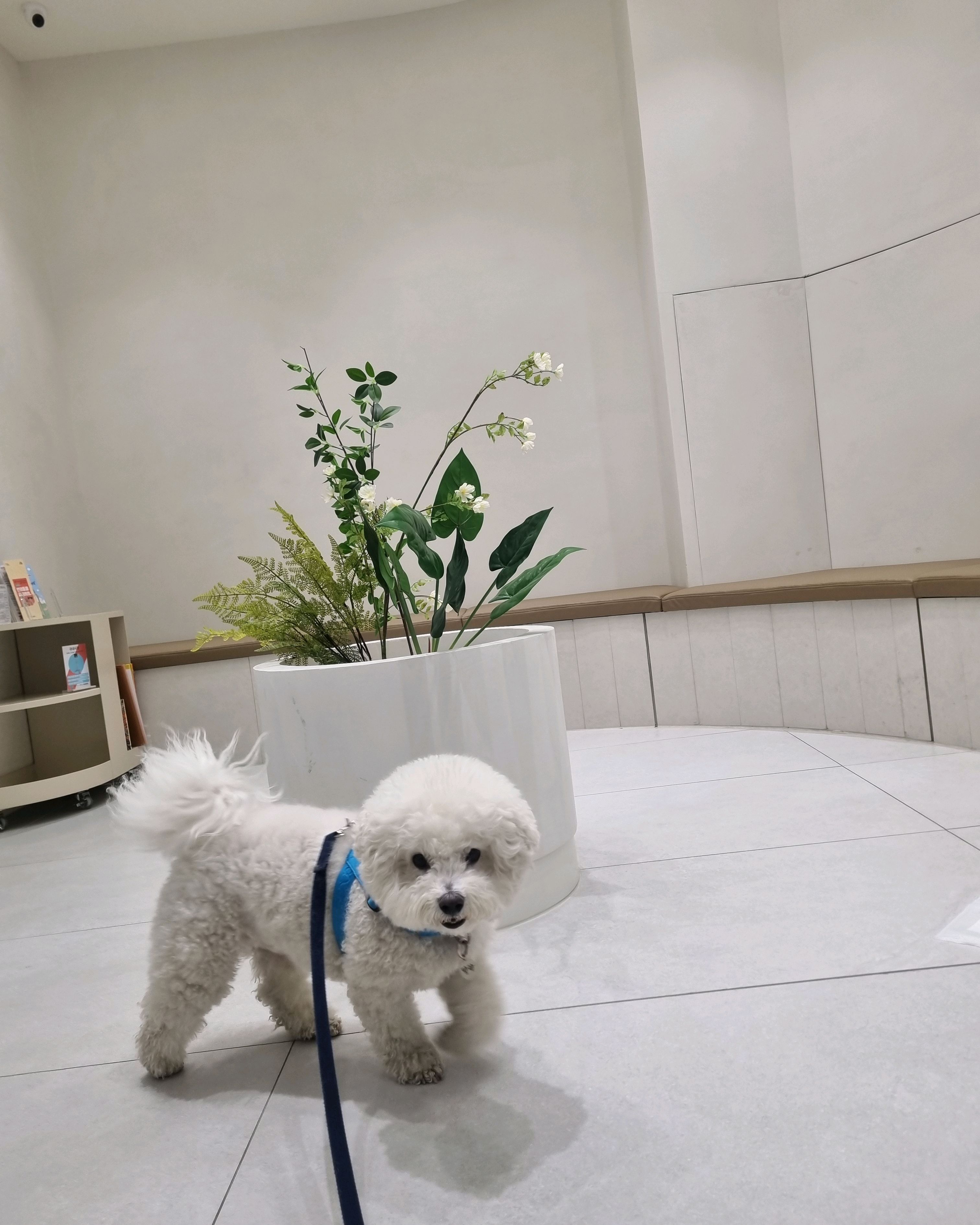 리뷰 사진 3