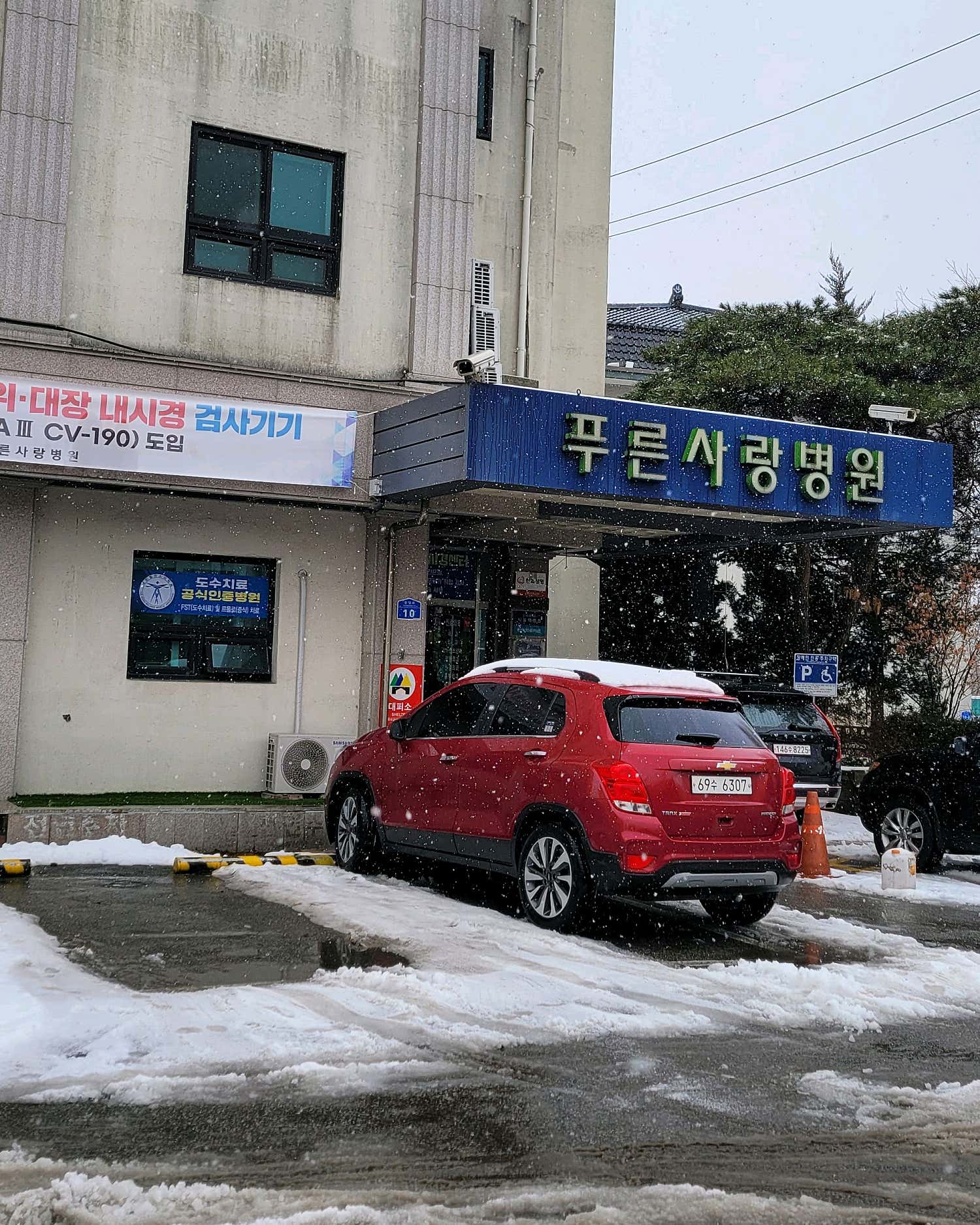 푸른사랑병원