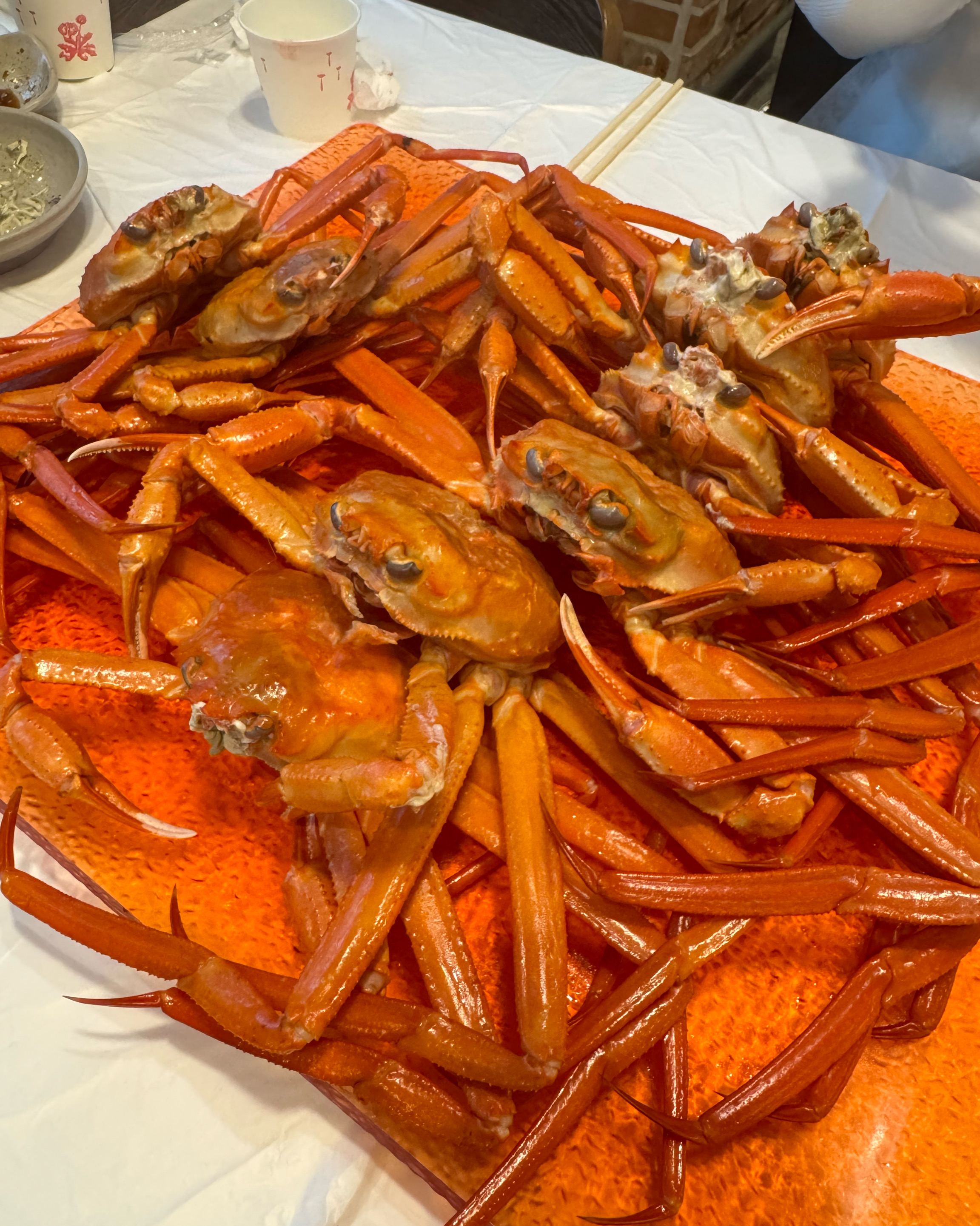 [동해 맛집 옥상홍게무한리필] 직접 가본 로컬 리뷰