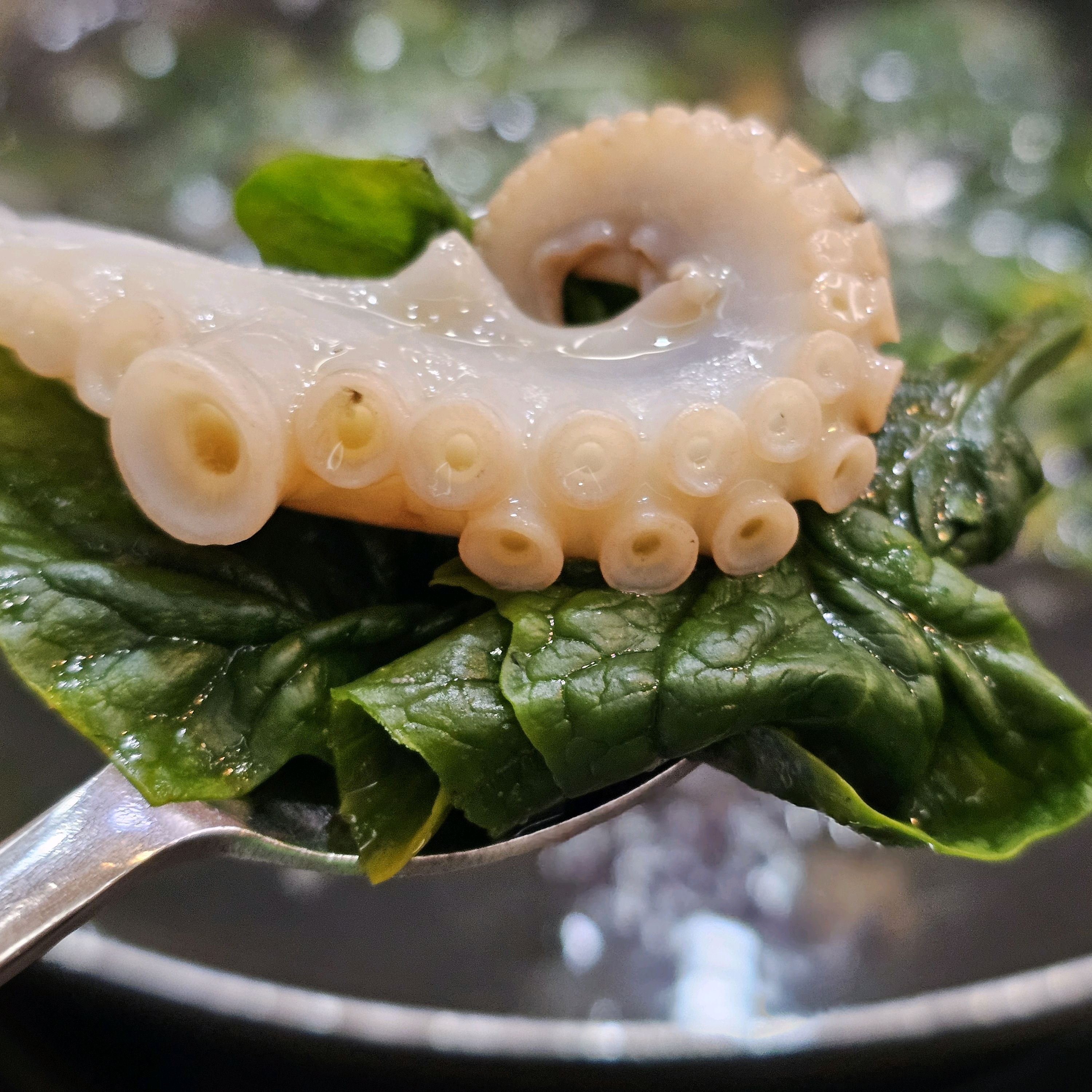 정자역 맛집 쭈락 분당본점 내돈내산 방문리뷰