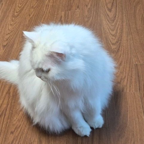 리뷰 사진 1