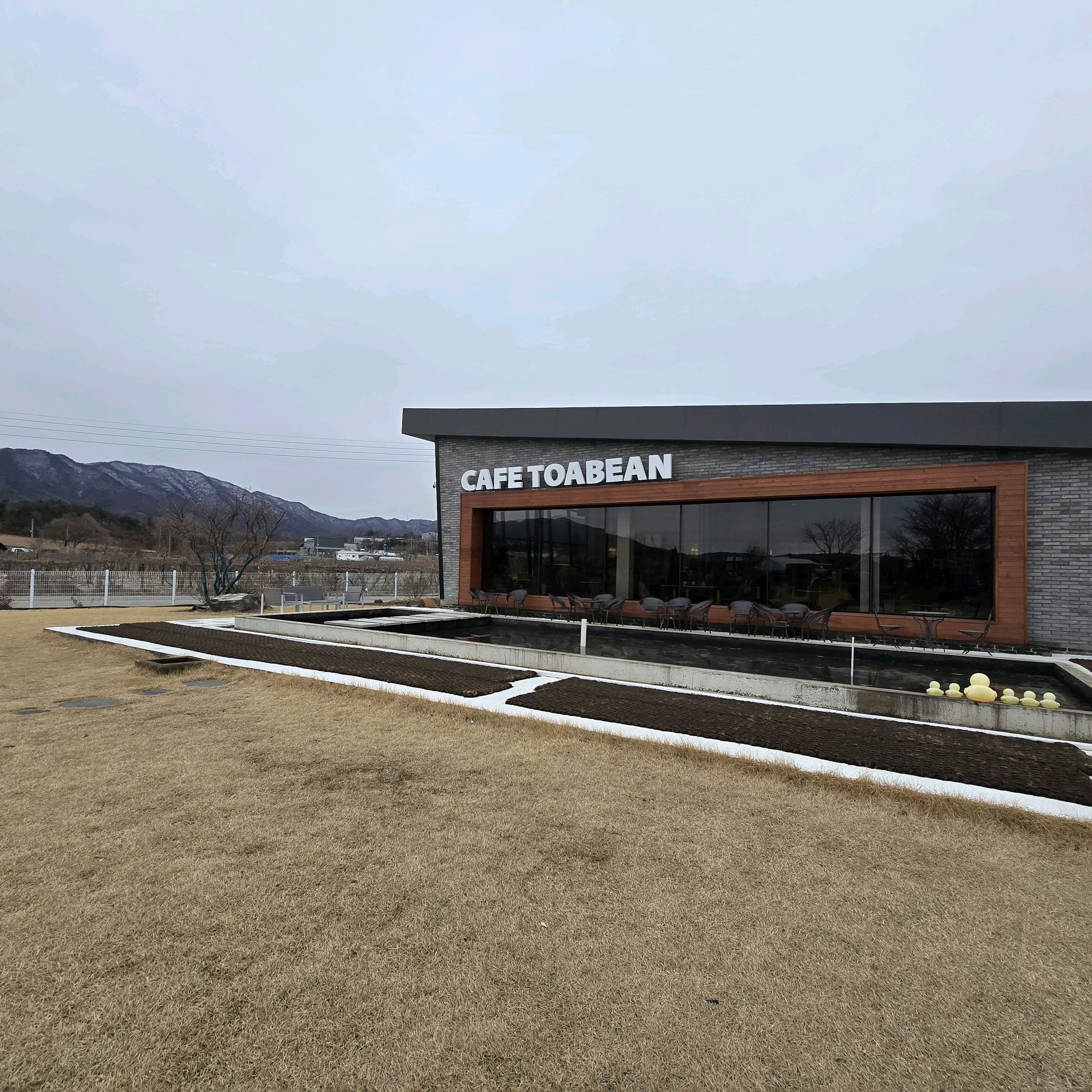 [천안 맛집 토아빈] 직접 가본 로컬 리뷰