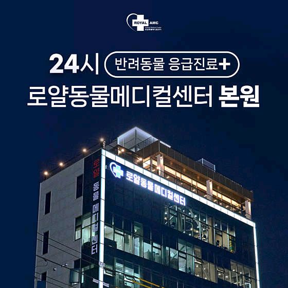 리뷰 사진 1