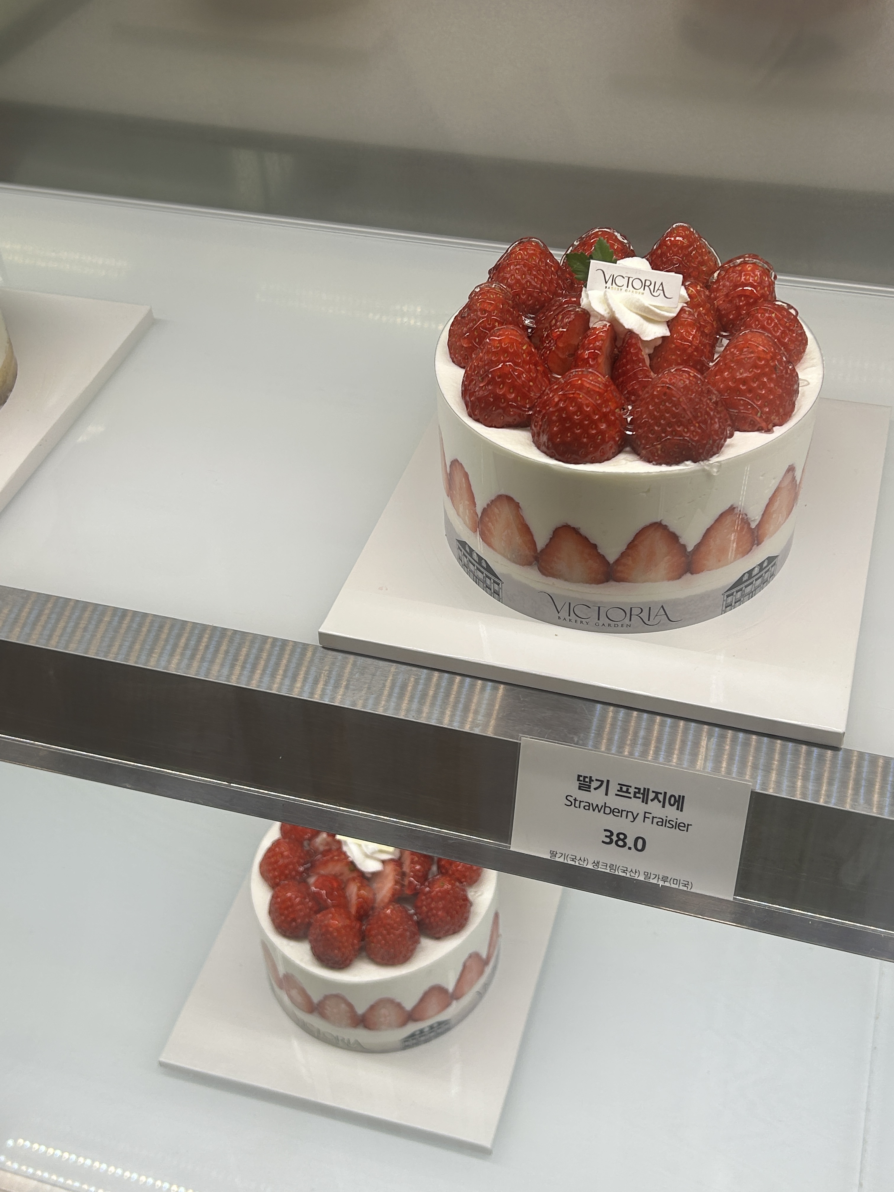 [부산역 맛집 빅토리아베이커리가든 캐슬점] 직접 가본 로컬 리뷰