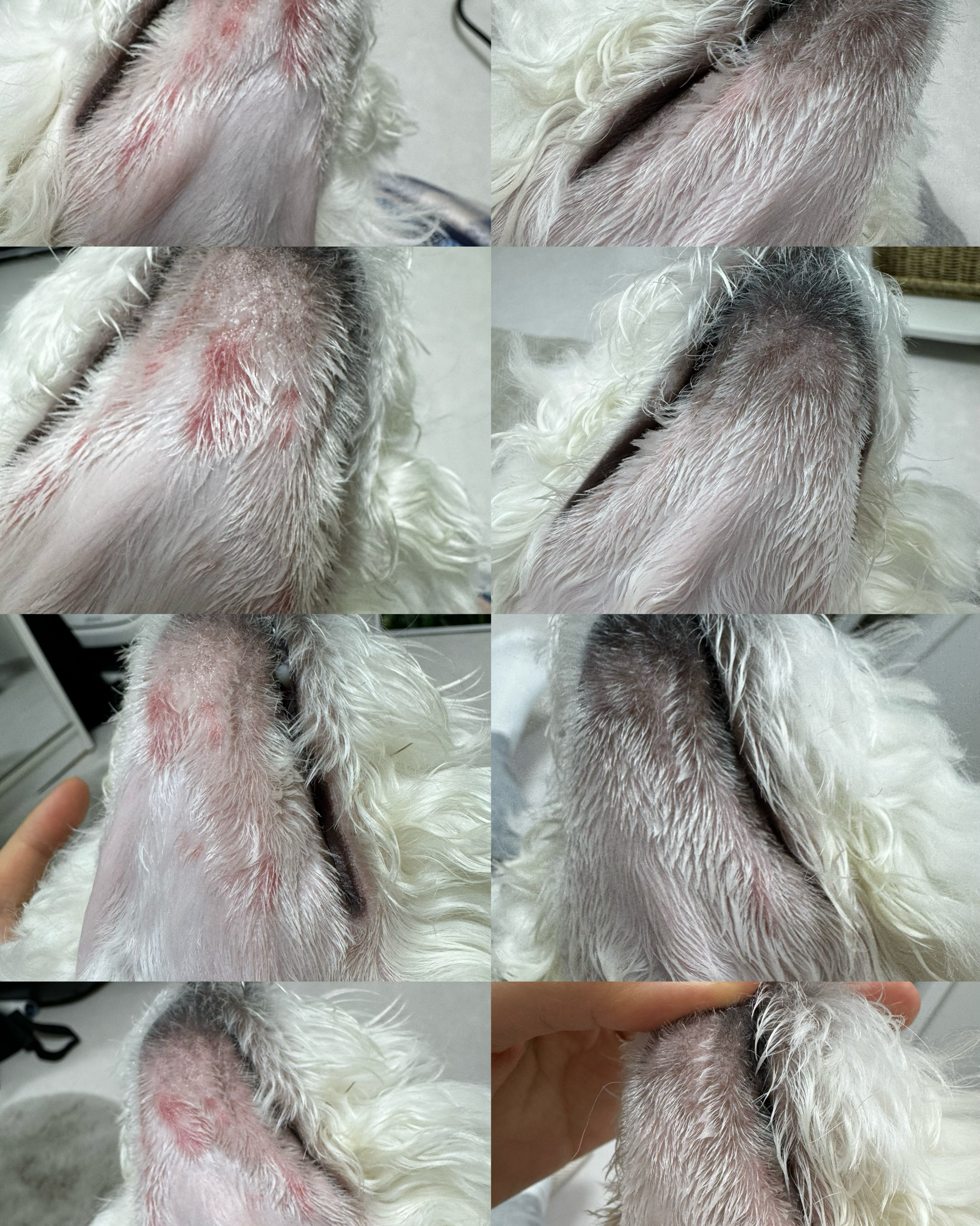 리뷰 사진 1