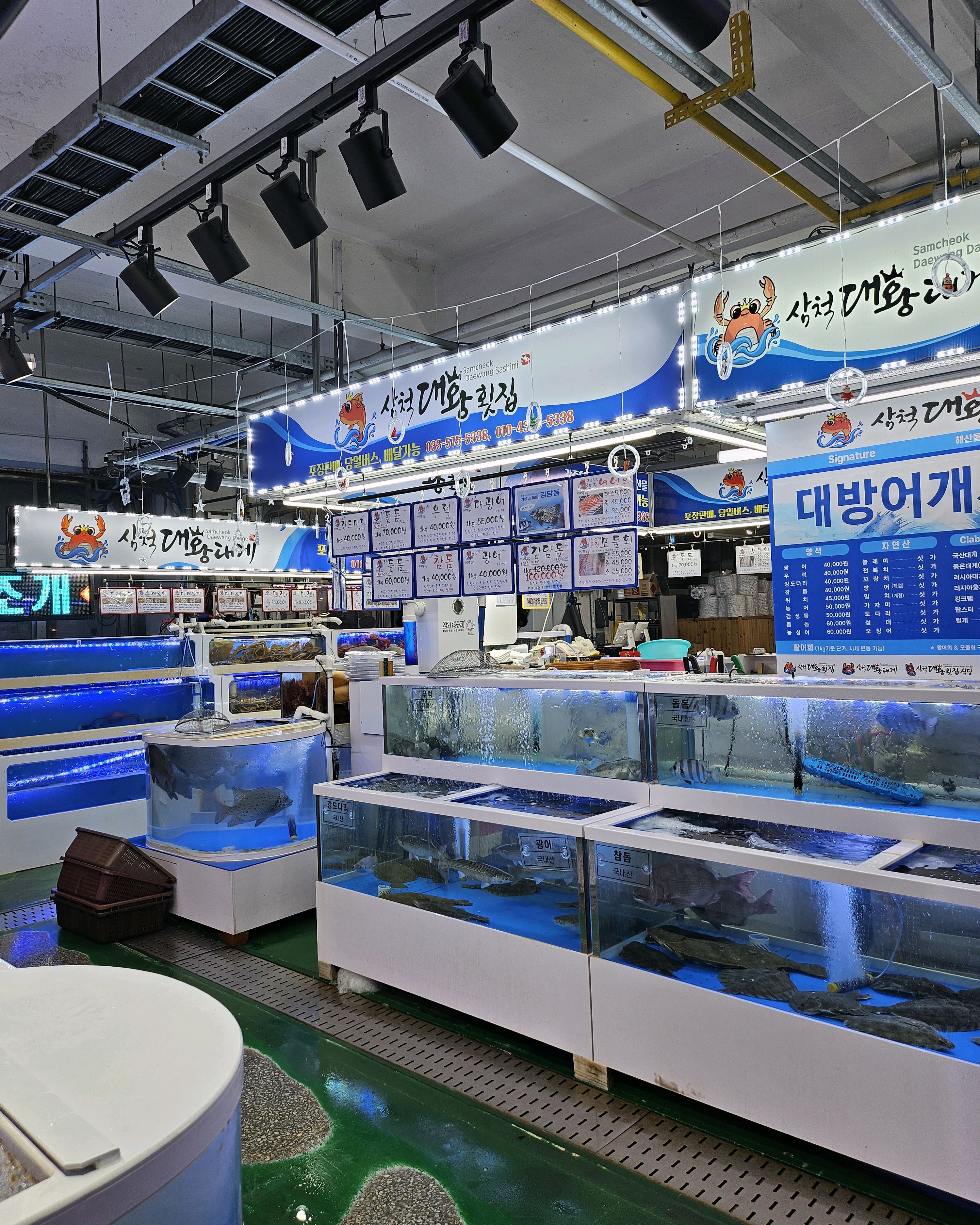 [삼척 맛집 삼척대왕횟집] 직접 가본 로컬 리뷰