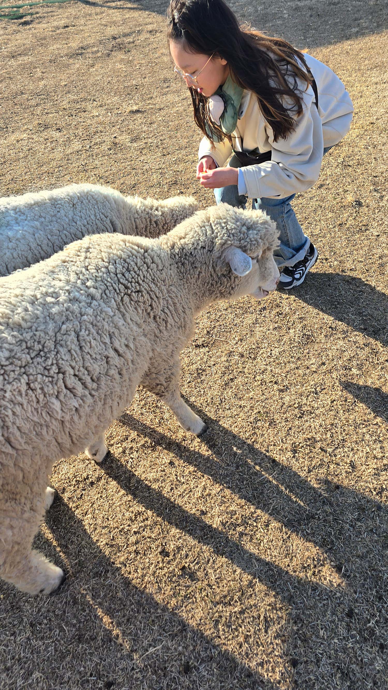 의정부메이퓨어의원