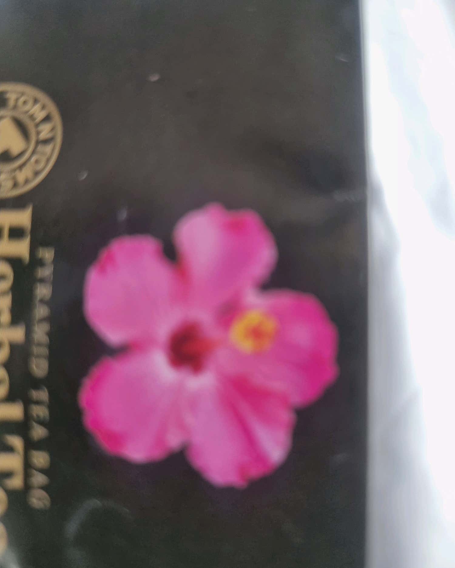 울들병원