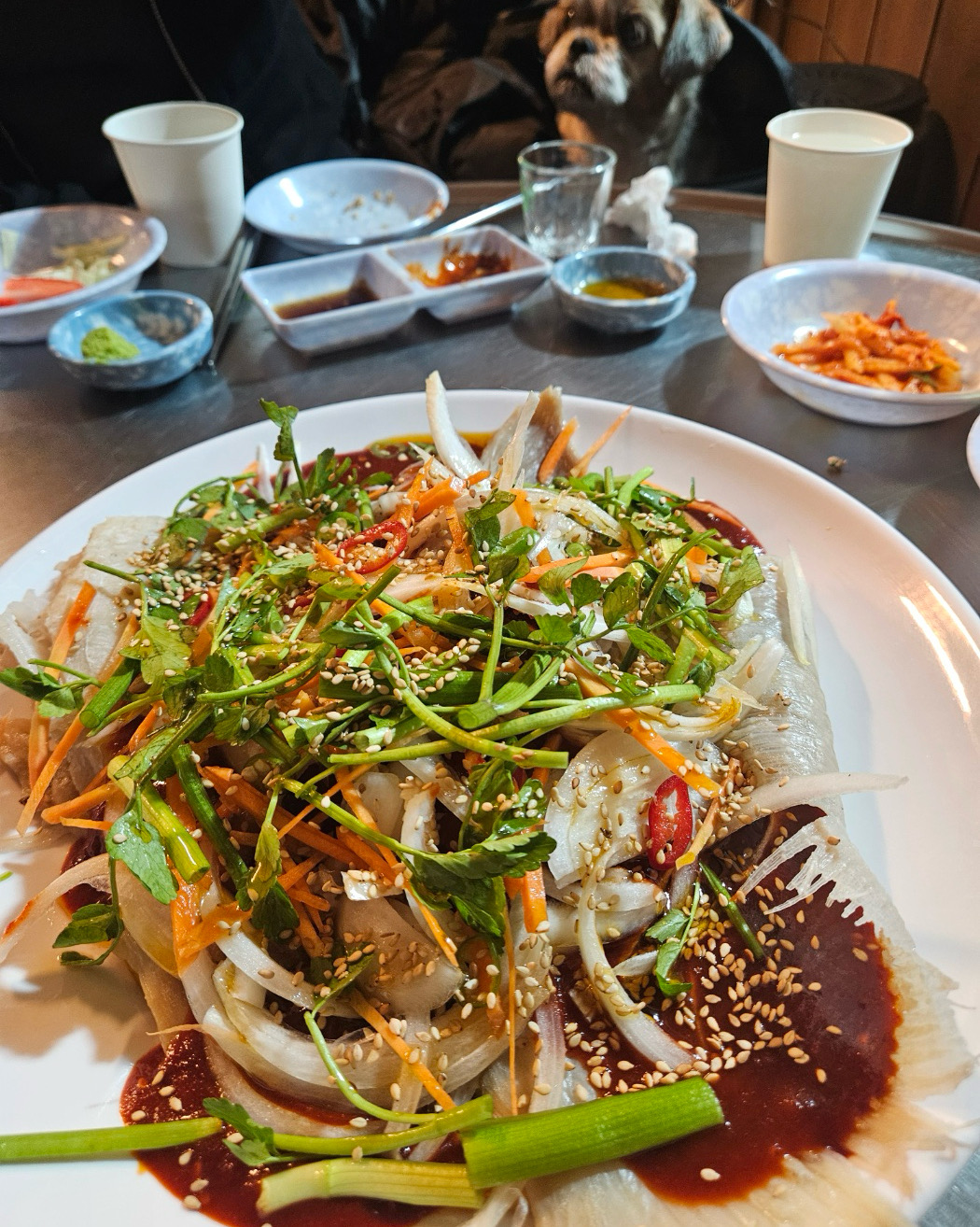 저희 가족은 특히 애견 동반 식당을 자주 이용하고 - 권선동 맛집 아구포차
