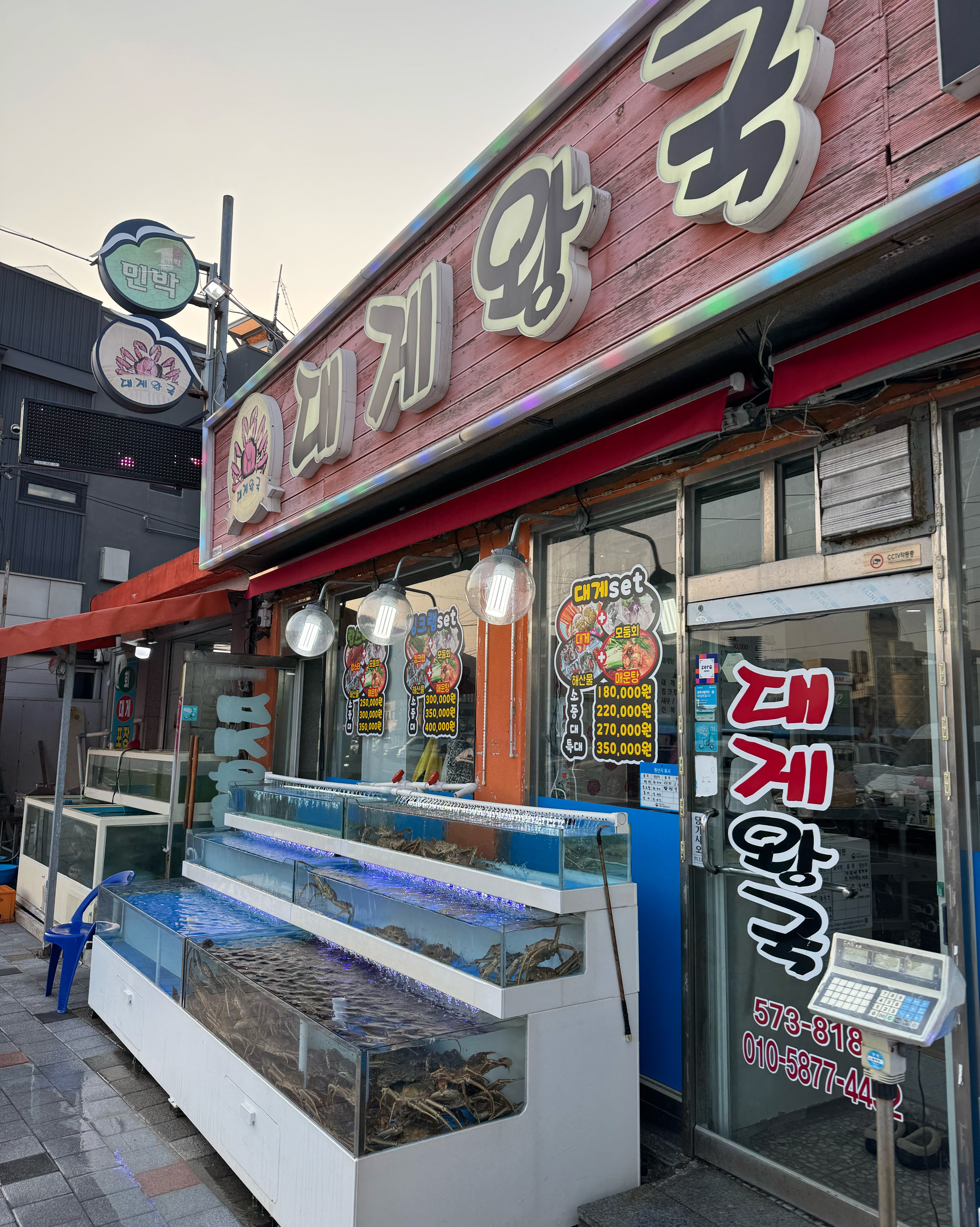 찜, 손질, 포장, 게딱지 볶음밥까지 다 서비스로 해주셨어요 !! - 삼척항 맛집 대게왕국