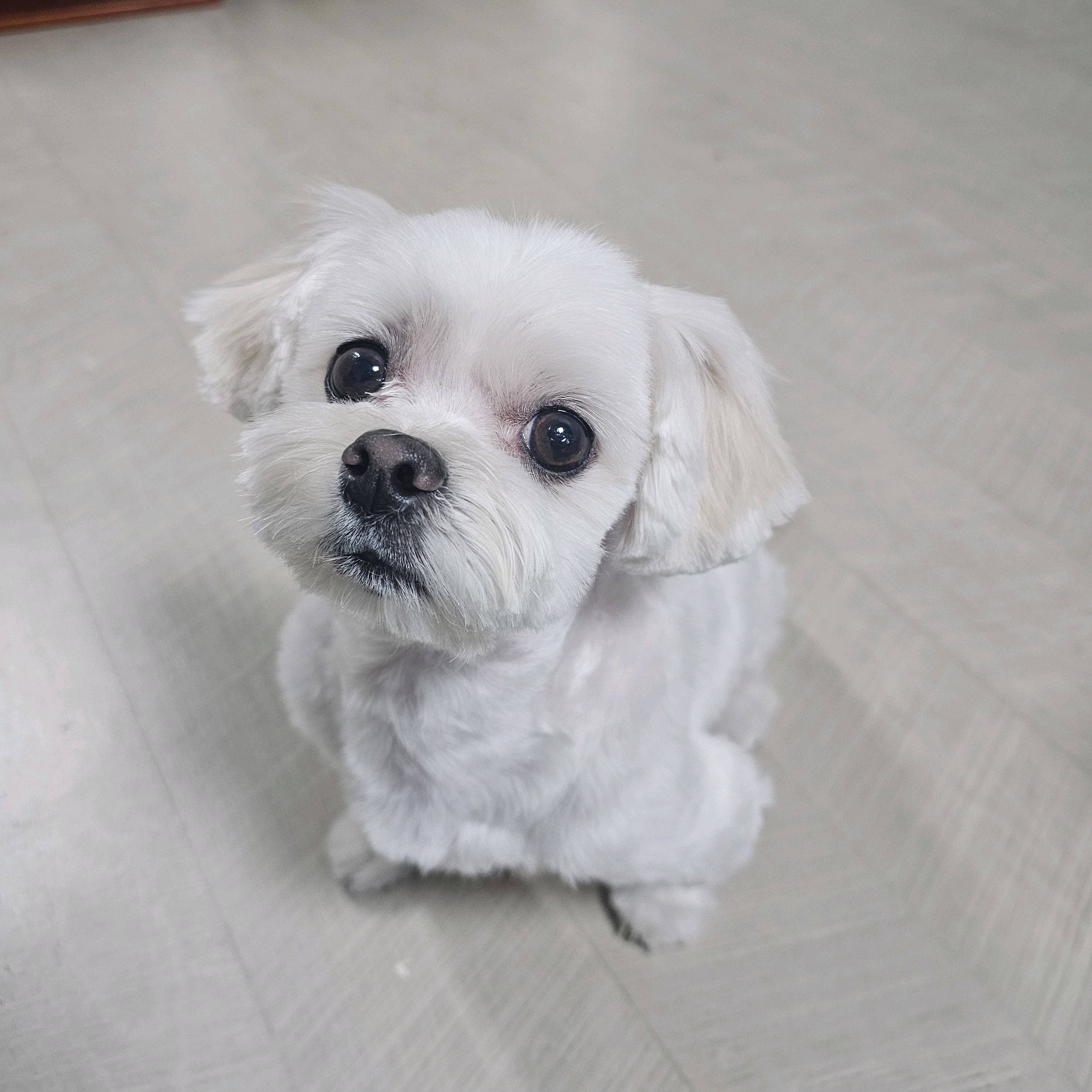 리뷰 사진 1