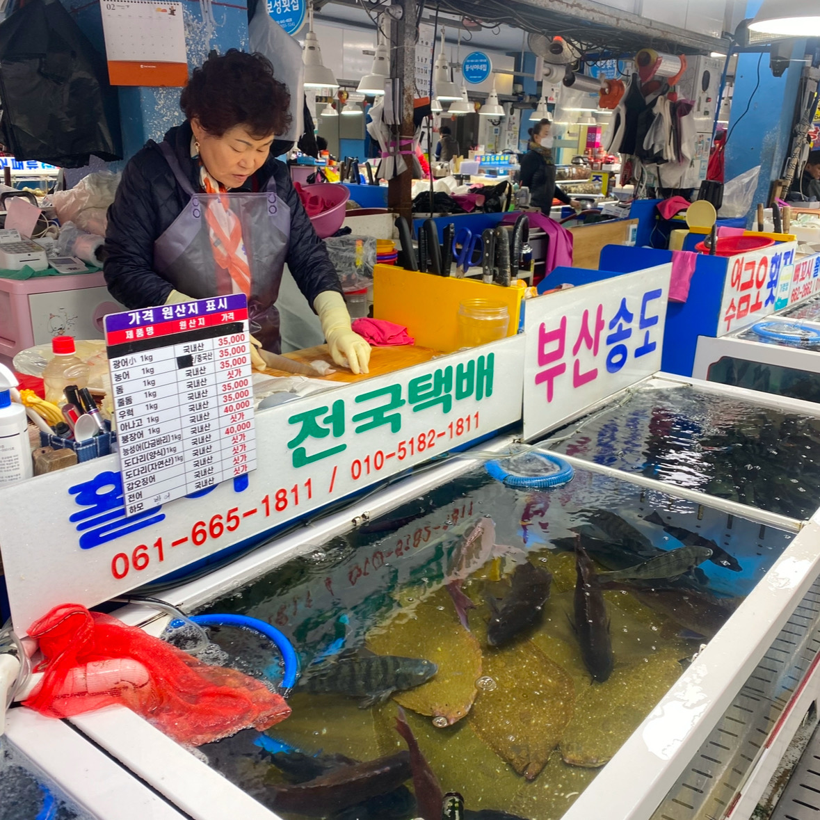 [여수 맛집 부산 송도회센타] 직접 가본 로컬 리뷰