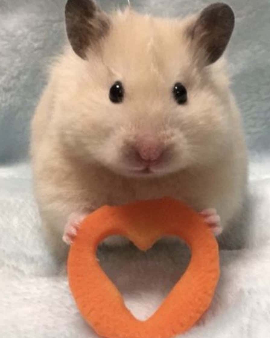 2번째 스튜디오 사진