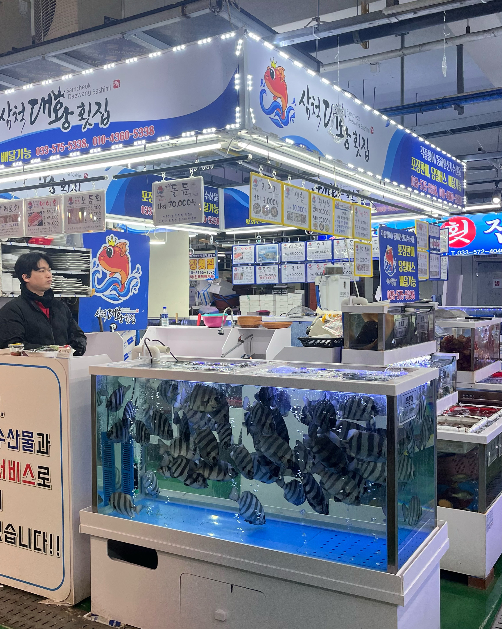 [삼척 맛집 삼척대왕횟집] 직접 가본 로컬 리뷰