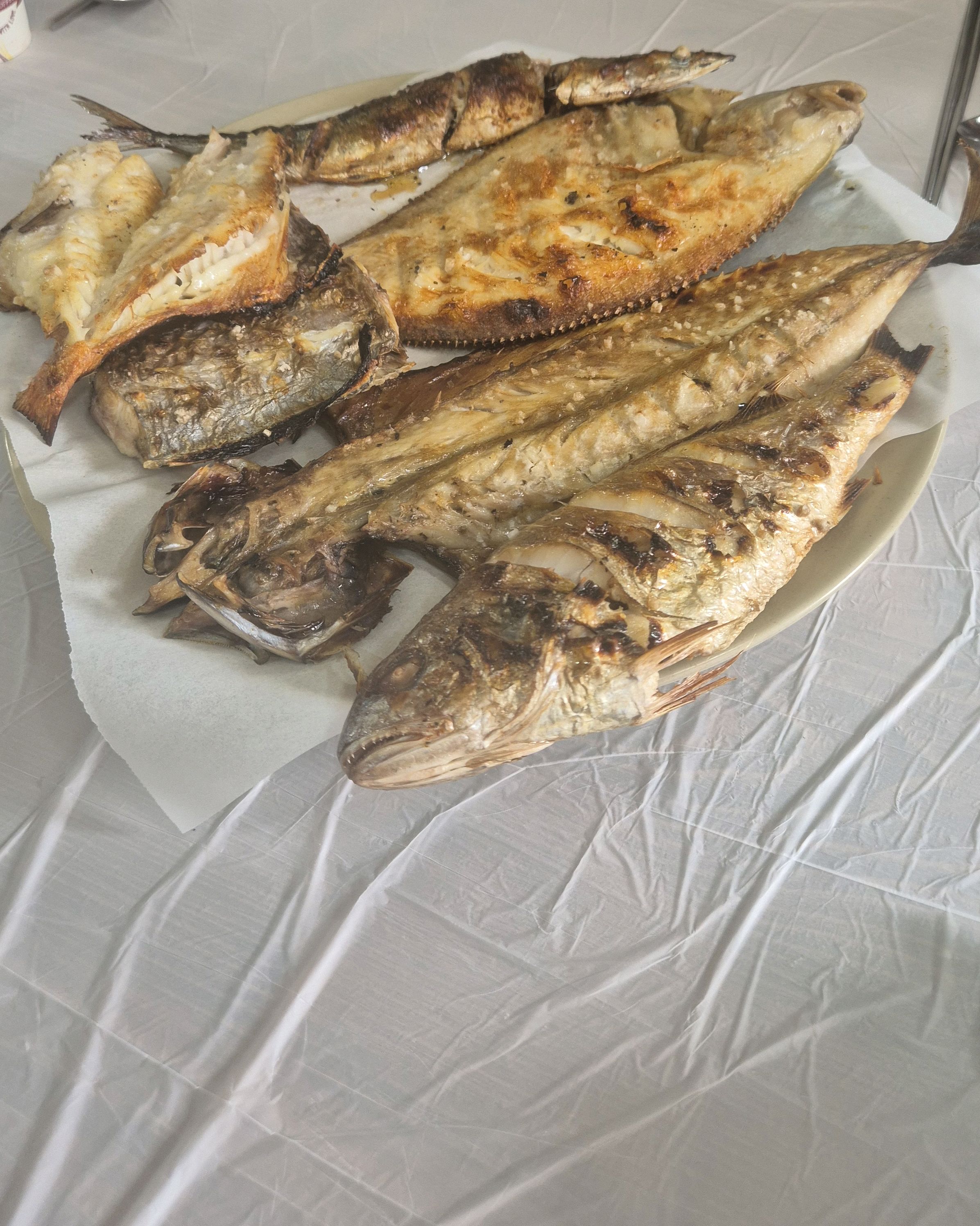 [동해 맛집 장터생선구이] 직접 가본 로컬 리뷰