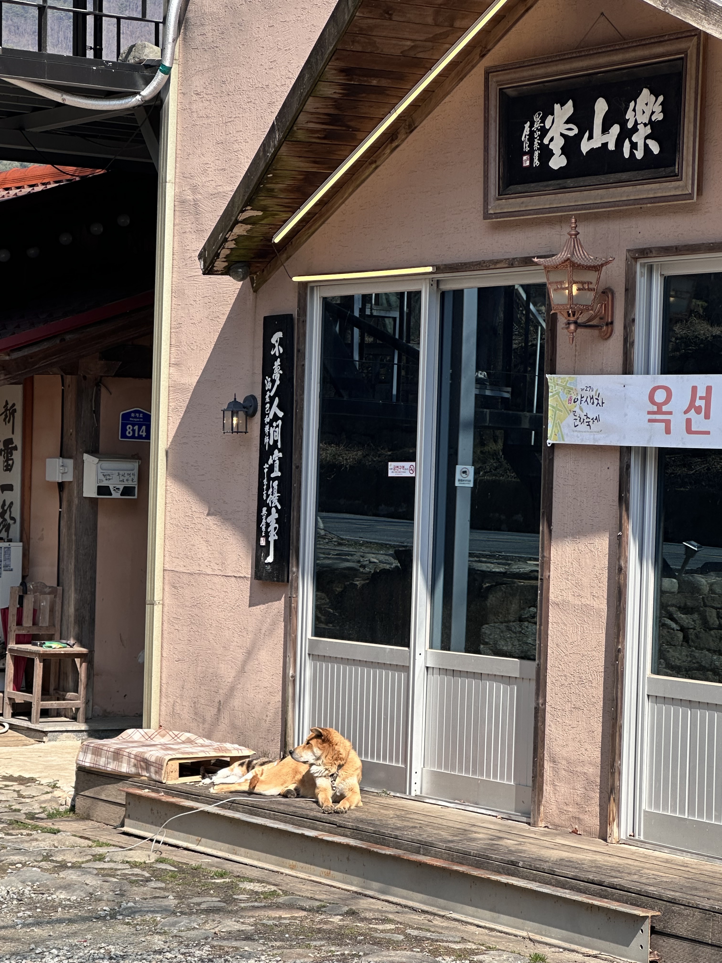 [하동 맛집 옥선명차] 직접 가본 로컬 리뷰