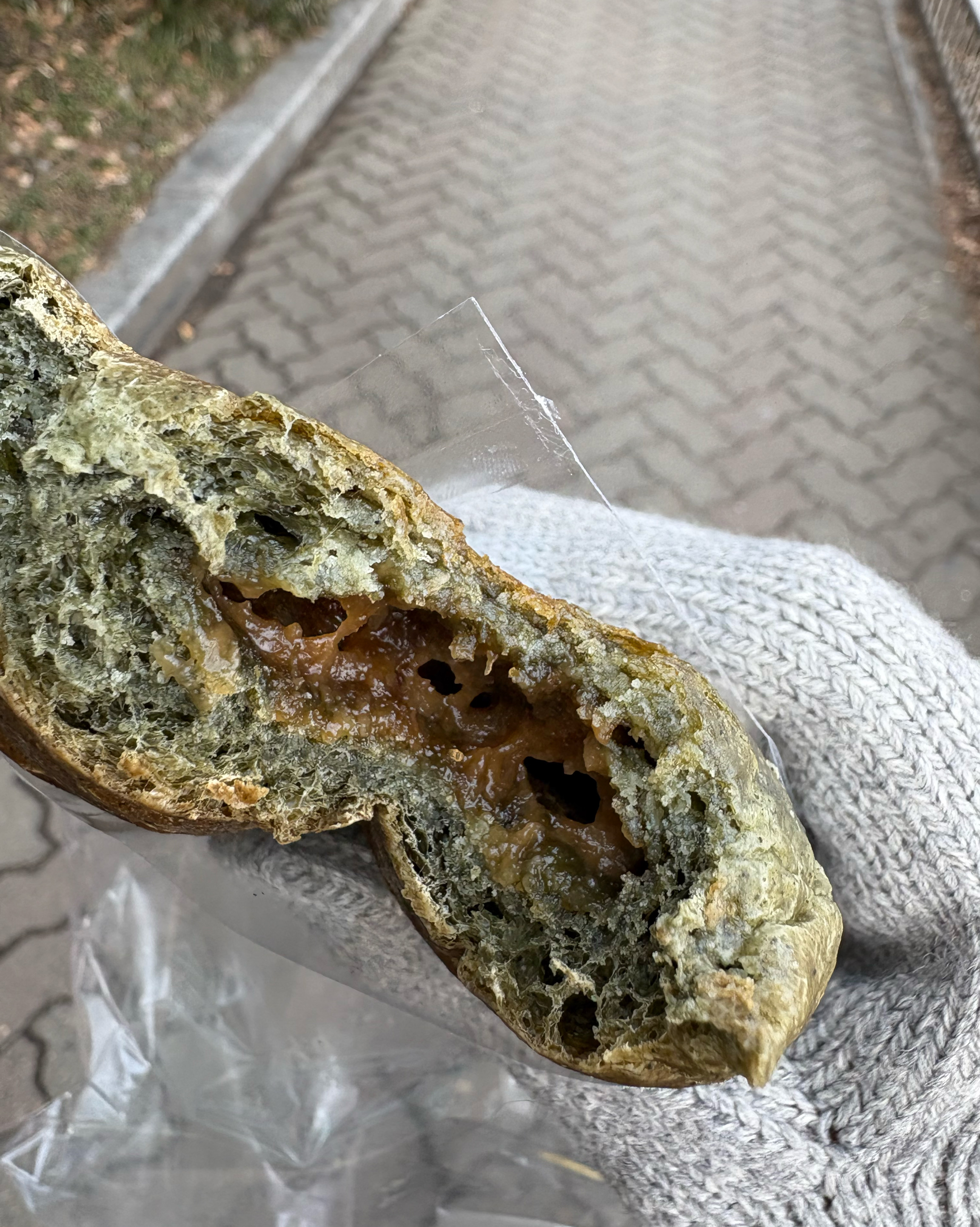 정자역 맛집 브레젠트 정자점 내돈내산 방문리뷰