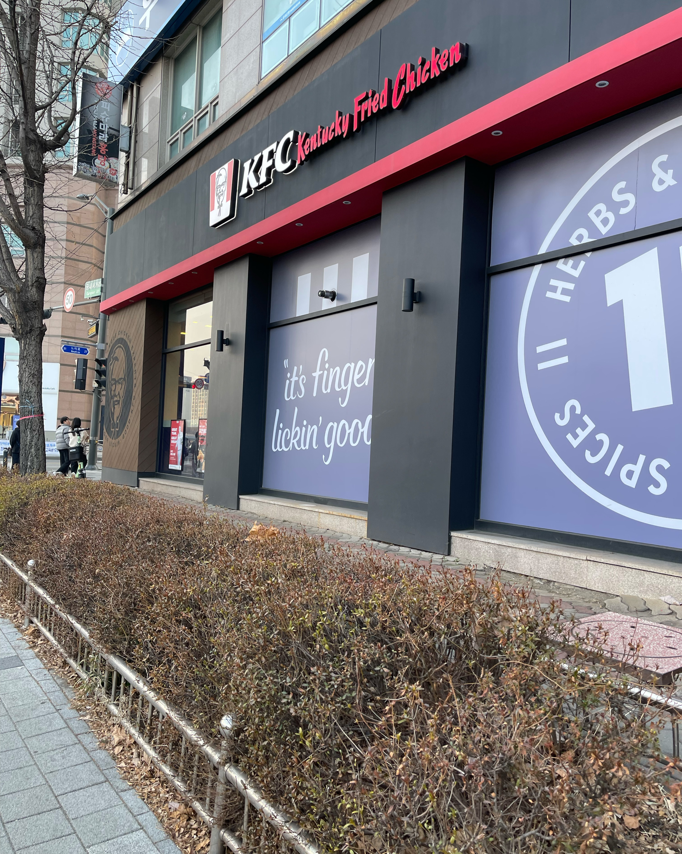 정자역 맛집 KFC 정자역 내돈내산 찐리뷰