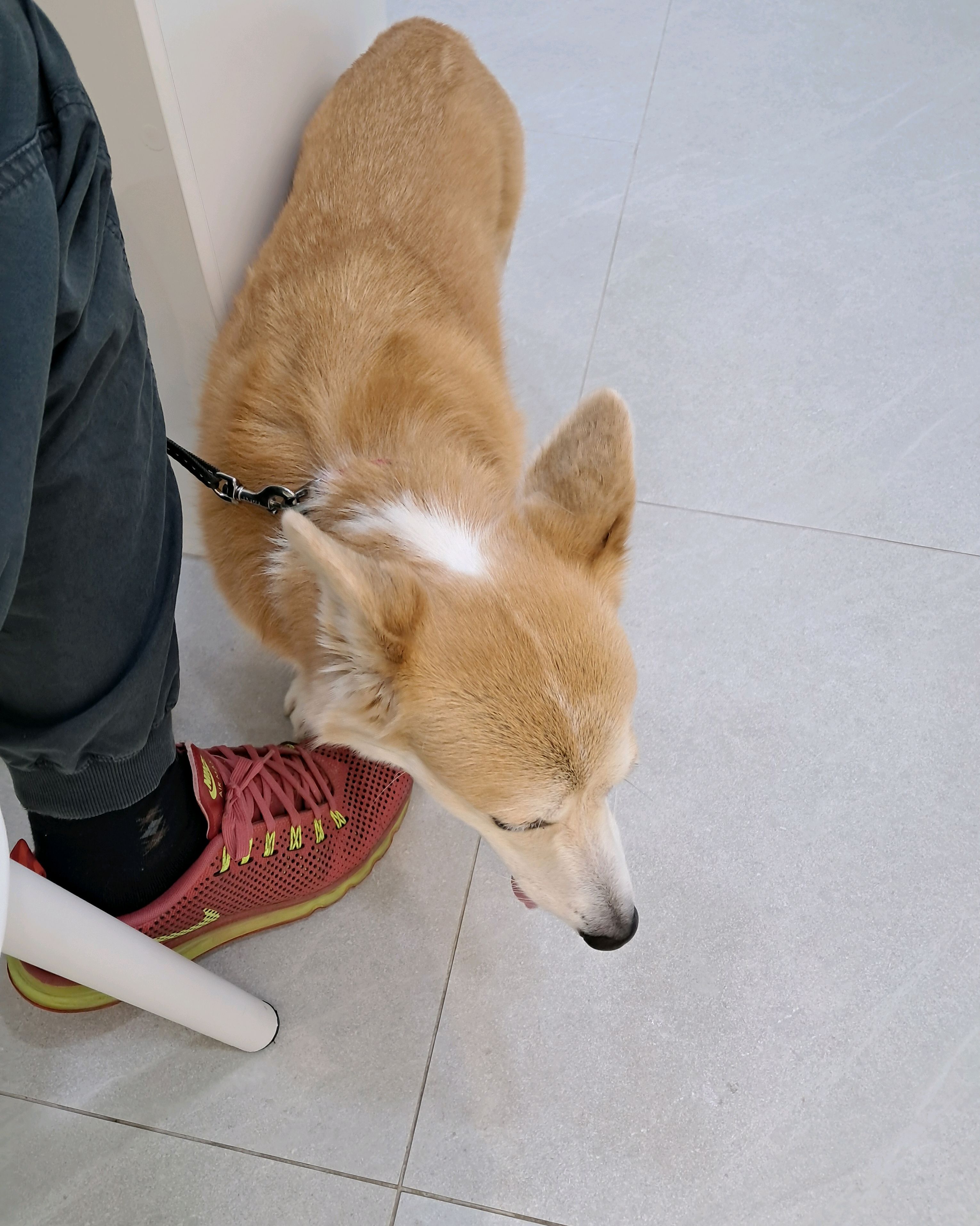 리뷰 사진 1
