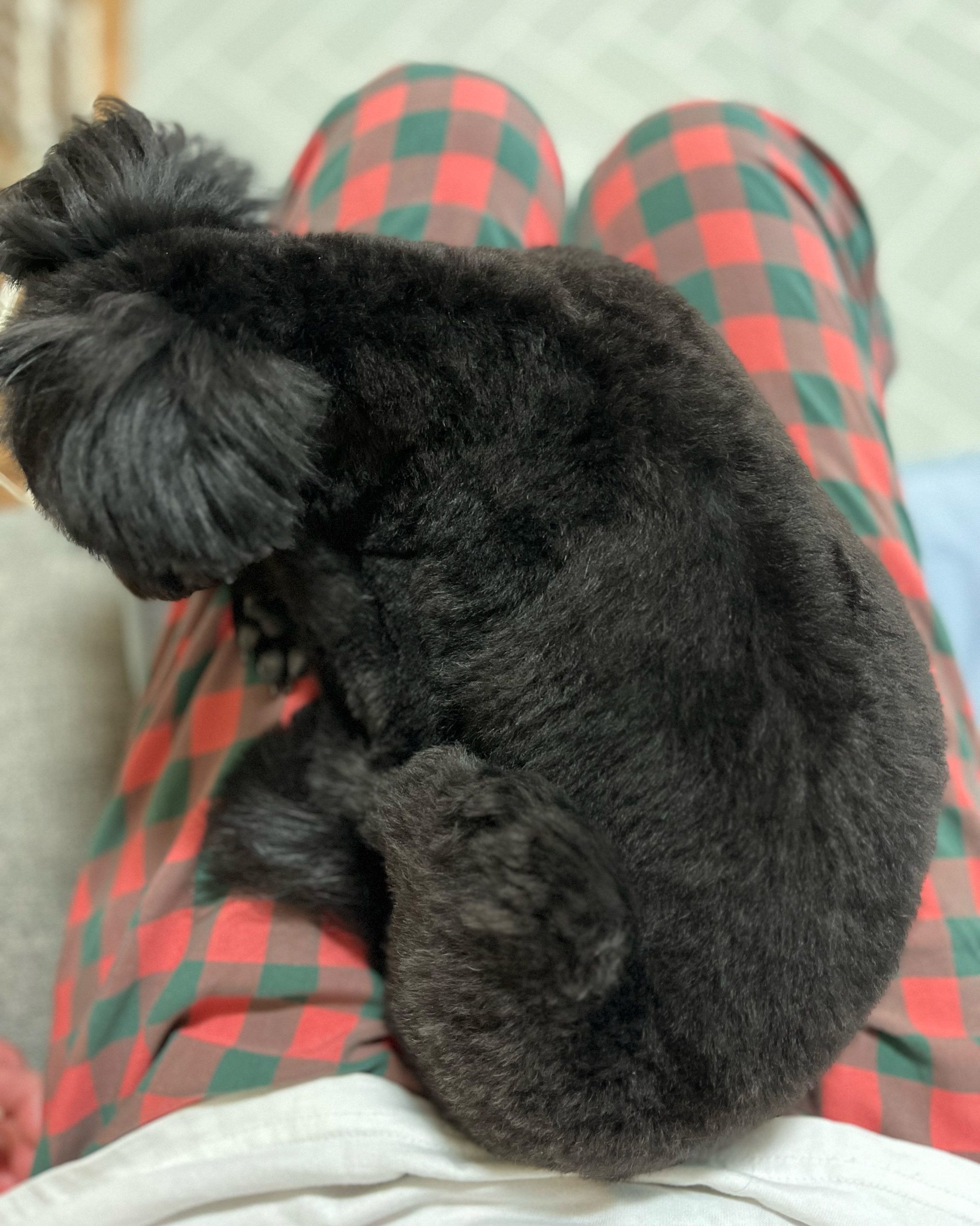 리뷰 사진 4