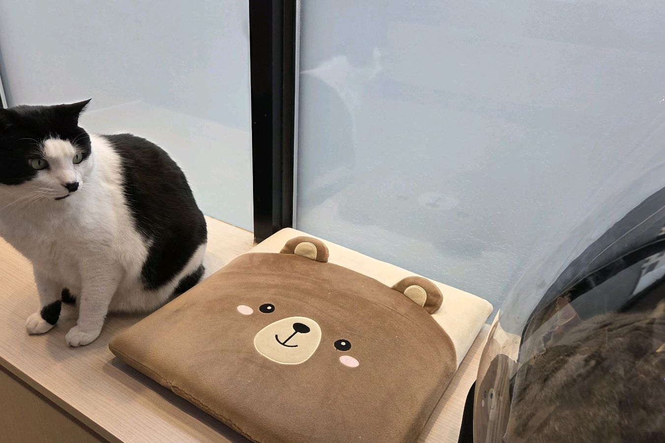 미사늘봄동물병원 사진 2