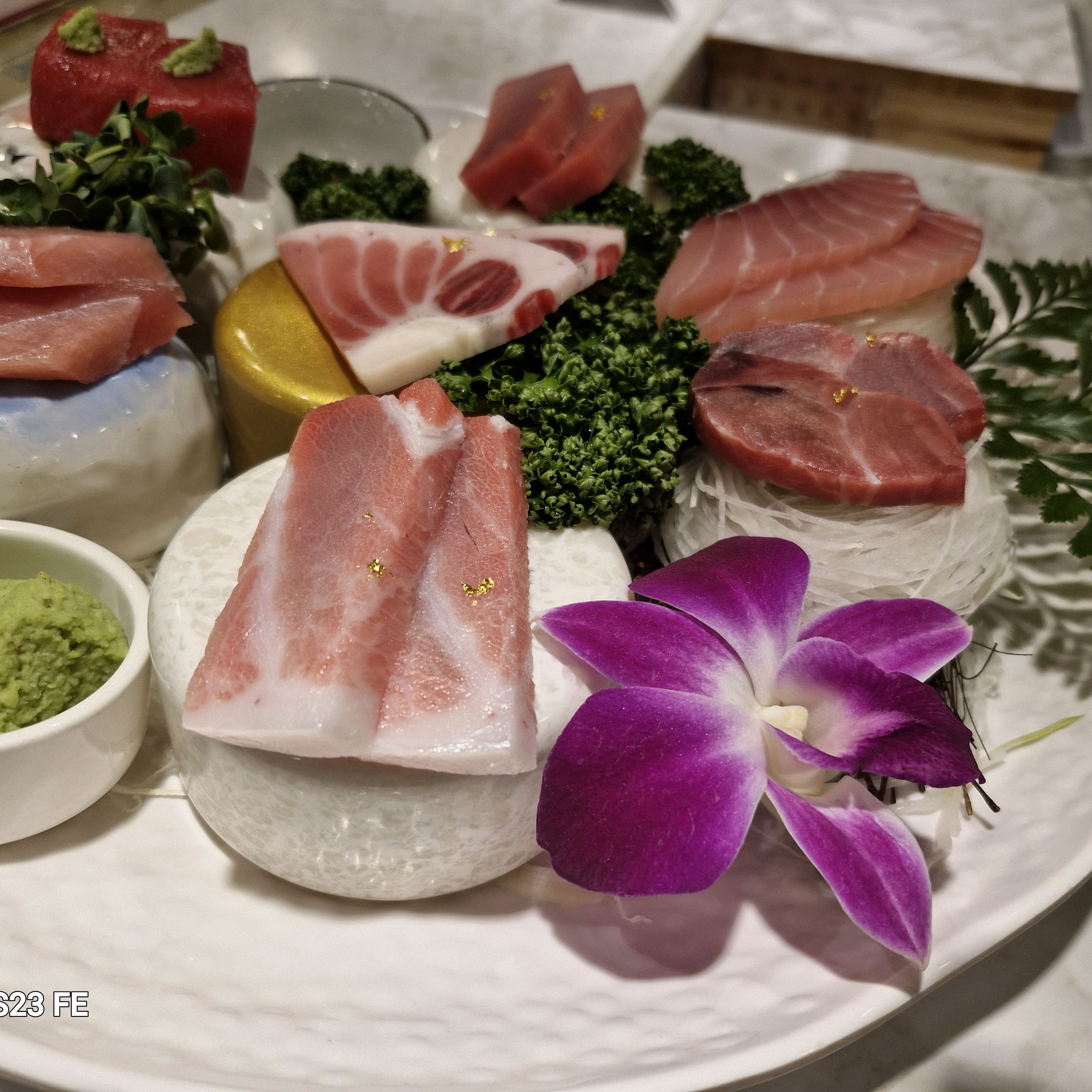 정자역 맛집 대진도원참치 내돈내산 방문리뷰