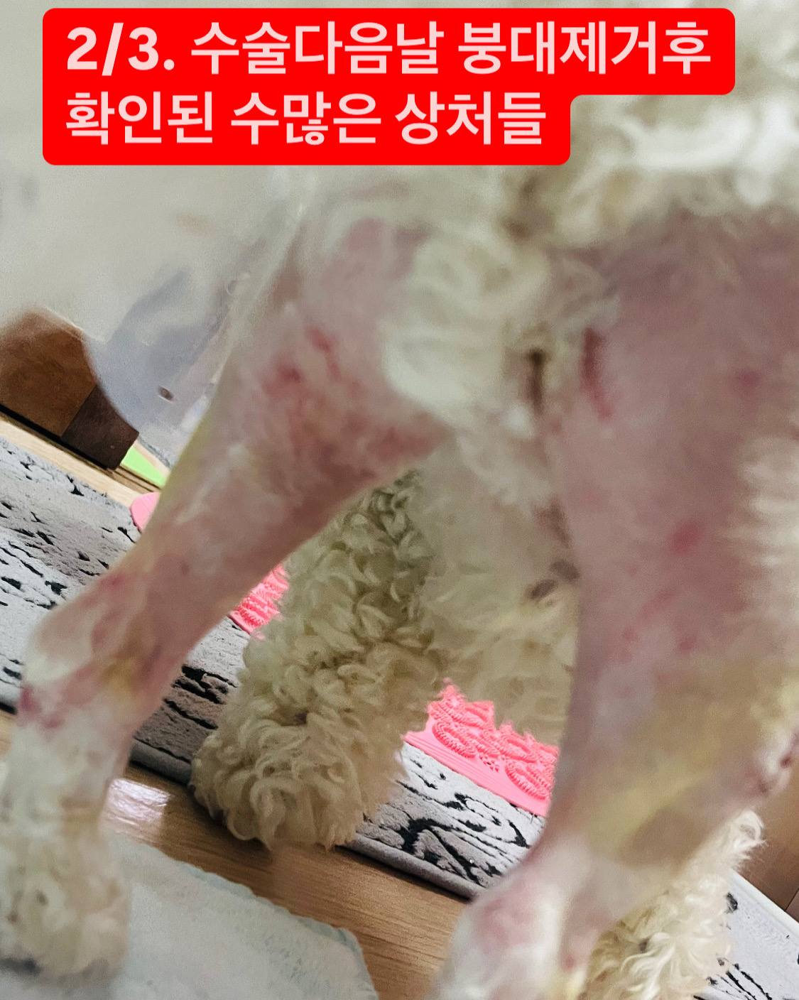 리뷰 사진 1