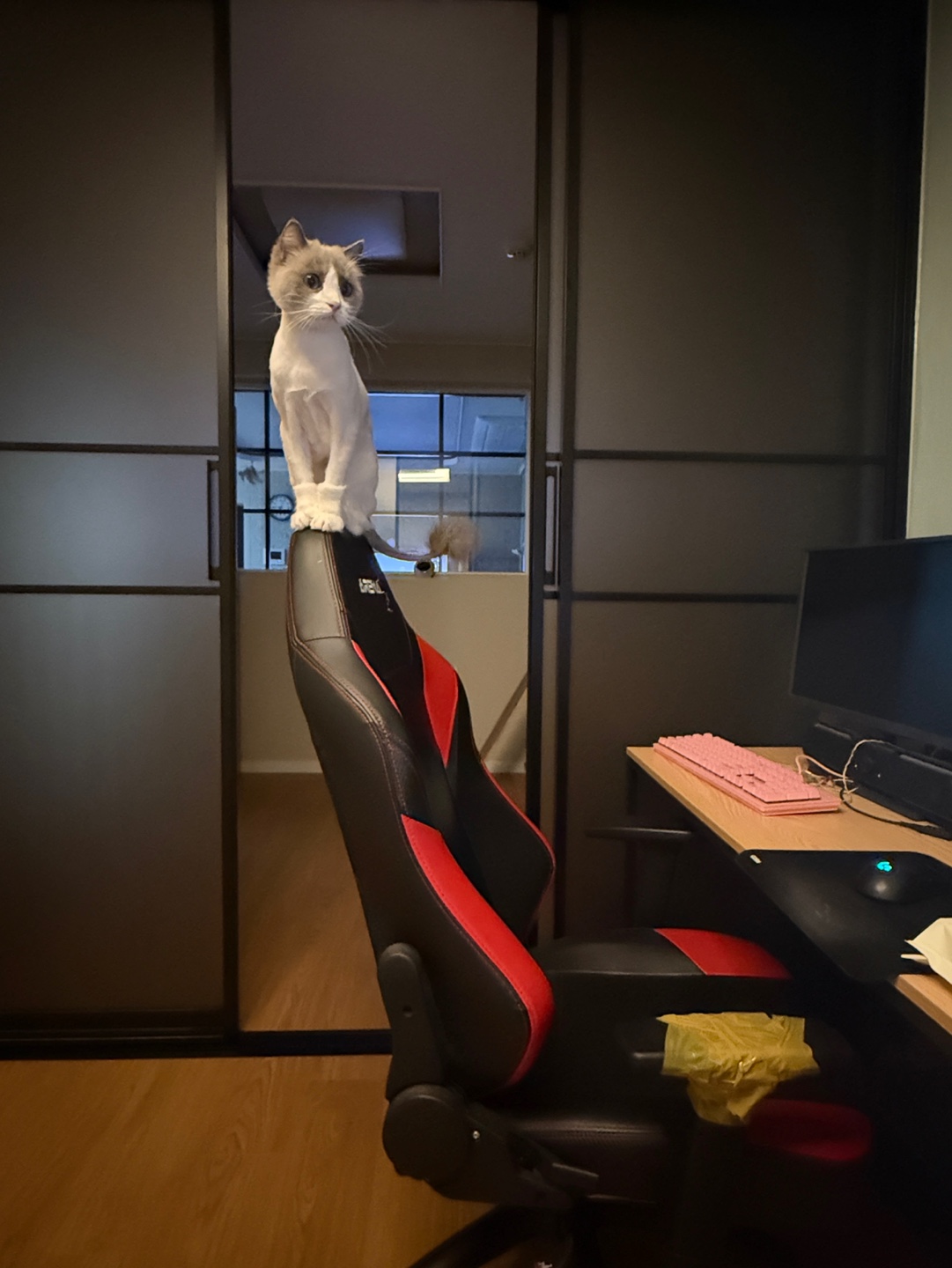 리뷰 사진 1