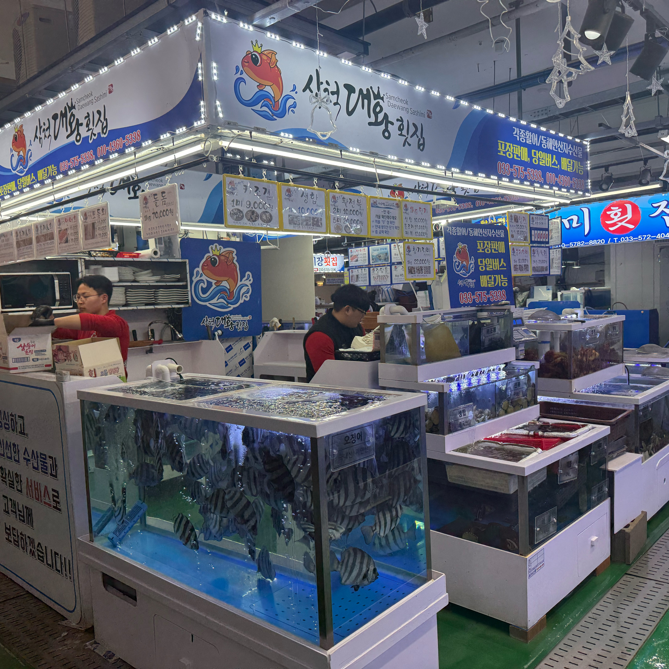 [삼척 맛집 삼척대왕횟집] 직접 가본 로컬 리뷰