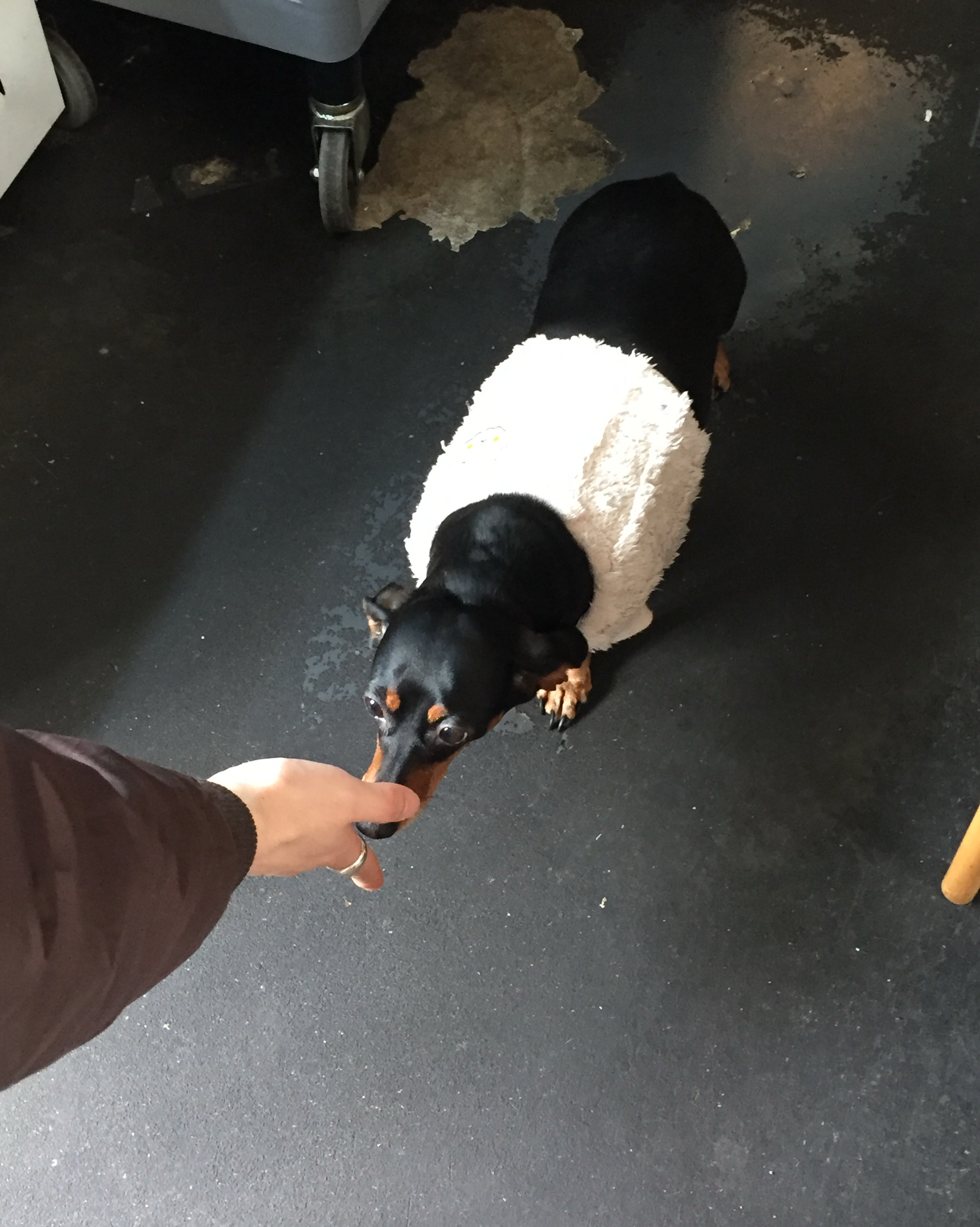 들어오면 봉자가 맞이해주는 돈까스집! - 제주 맛집 봉자네상점