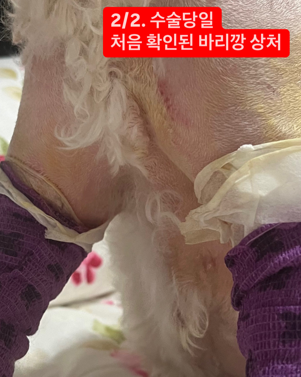 리뷰 사진 2
