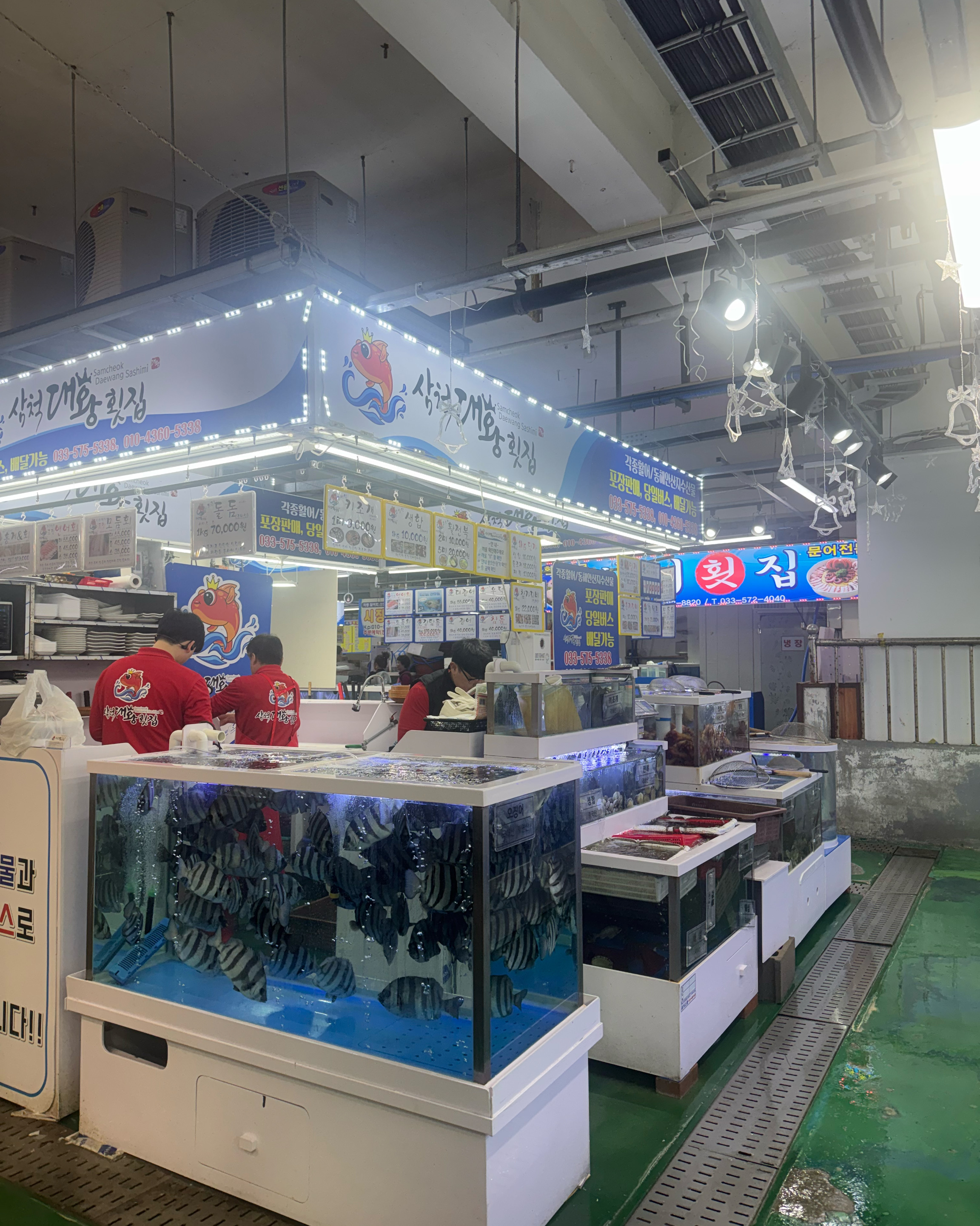 [삼척 맛집 삼척대왕횟집] 직접 가본 로컬 리뷰