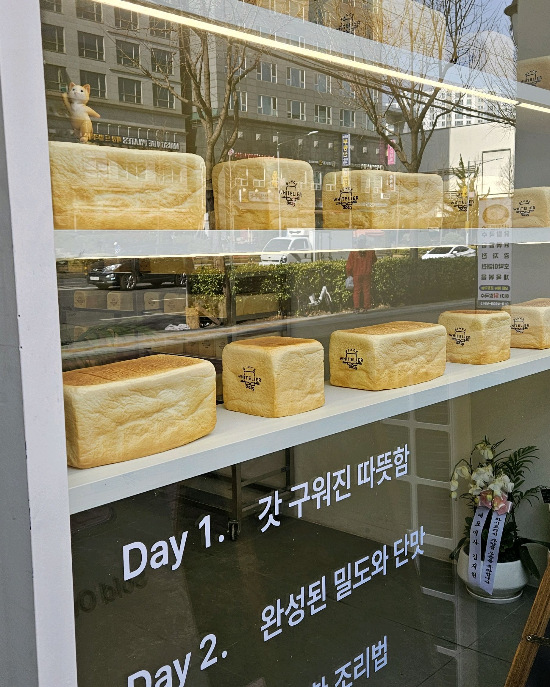 동네에 생긴지 좀 됐는데 이제야 방문하네요. 가격은 착하지 않지만 퀄리티가 있어요. - 가양역 맛집 화이트리에 가양점