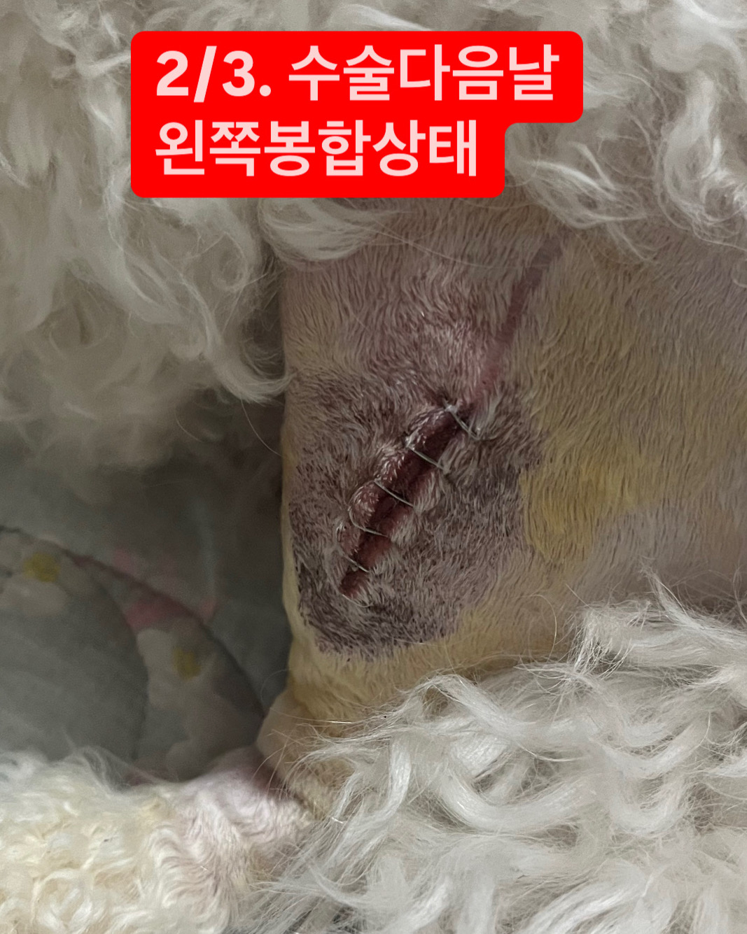 리뷰 사진 3