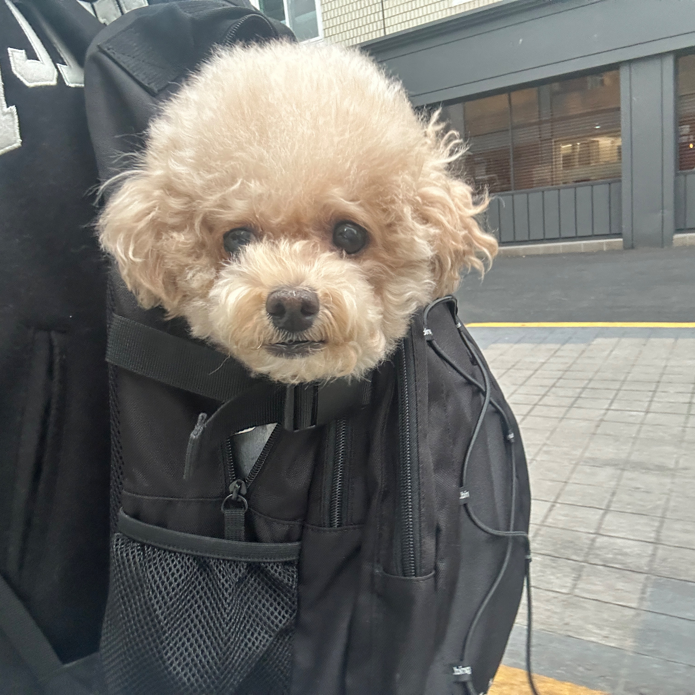 리뷰 사진 1