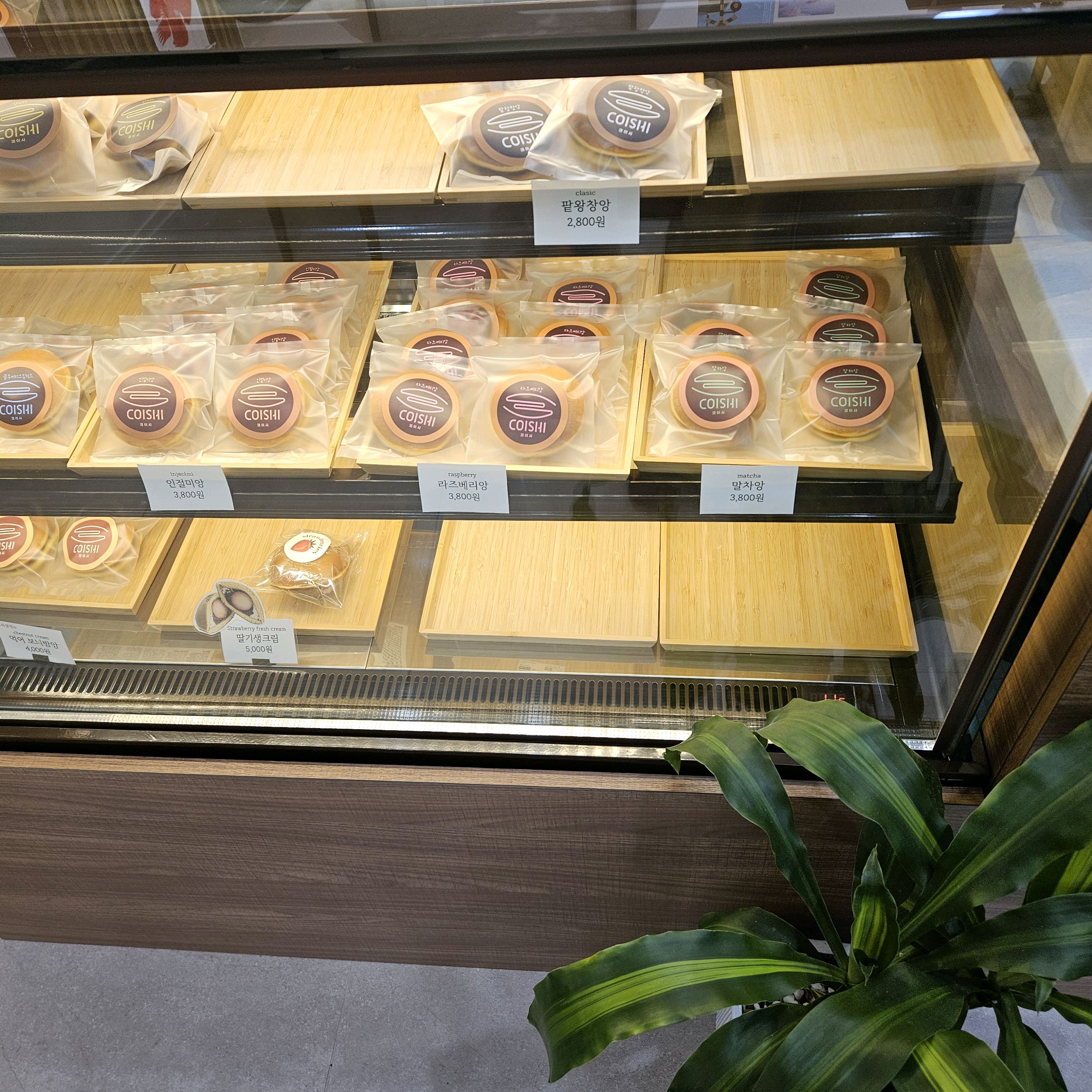 [부산역 맛집 코이시] 직접 가본 로컬 리뷰