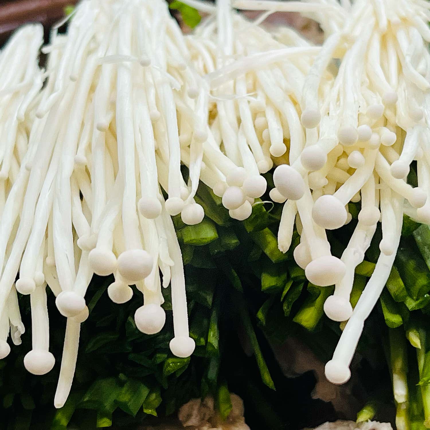 정갈하게 차려진 기본 찬