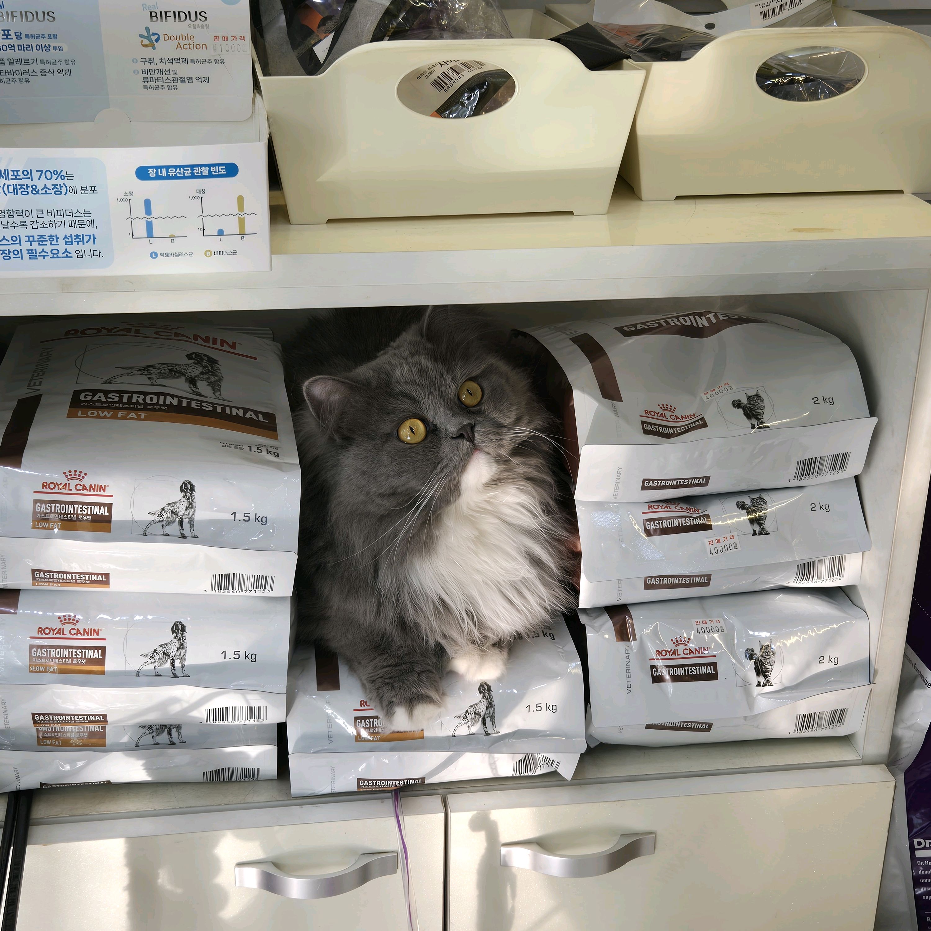 리뷰 사진 1