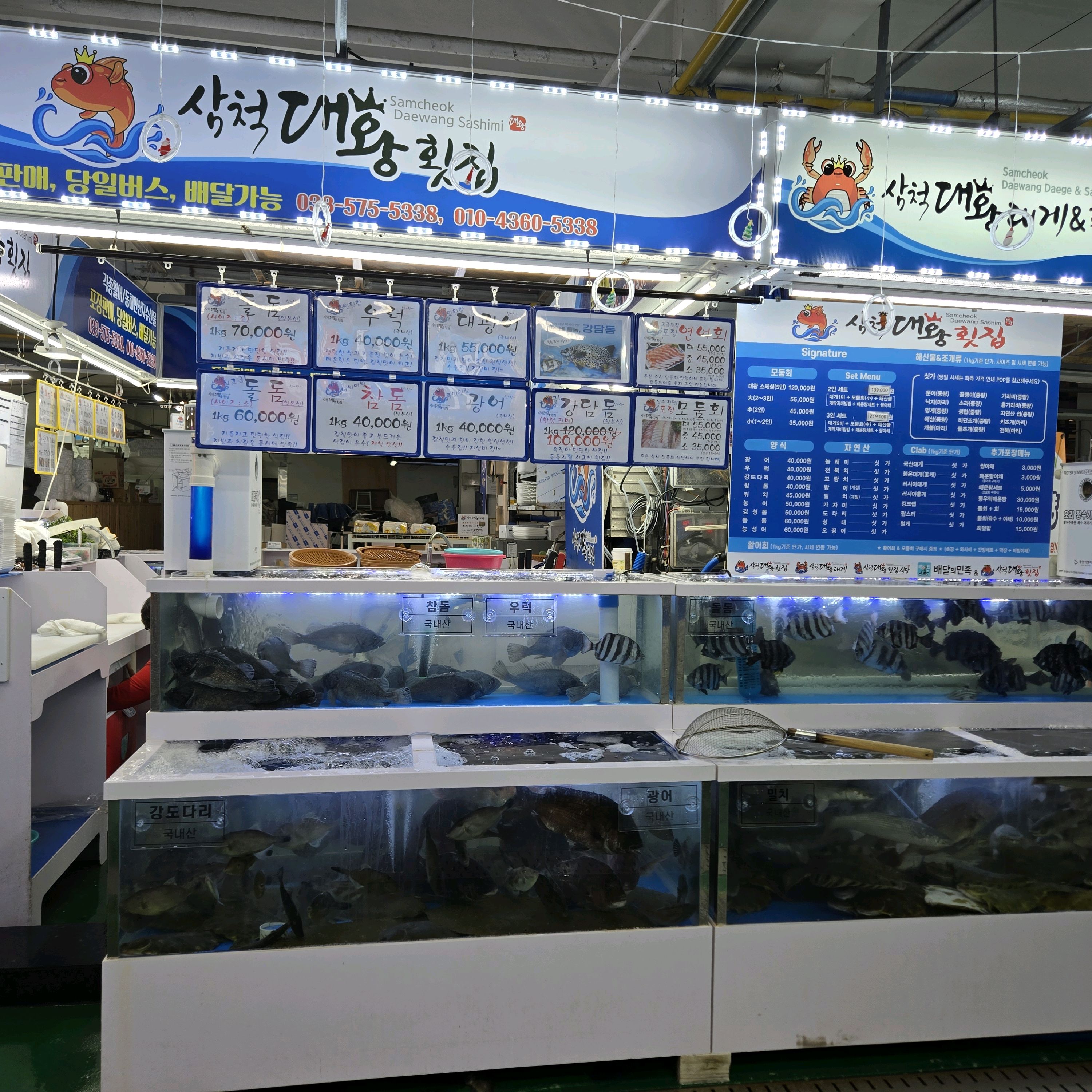 [삼척 맛집 삼척대왕횟집] 직접 가본 로컬 리뷰