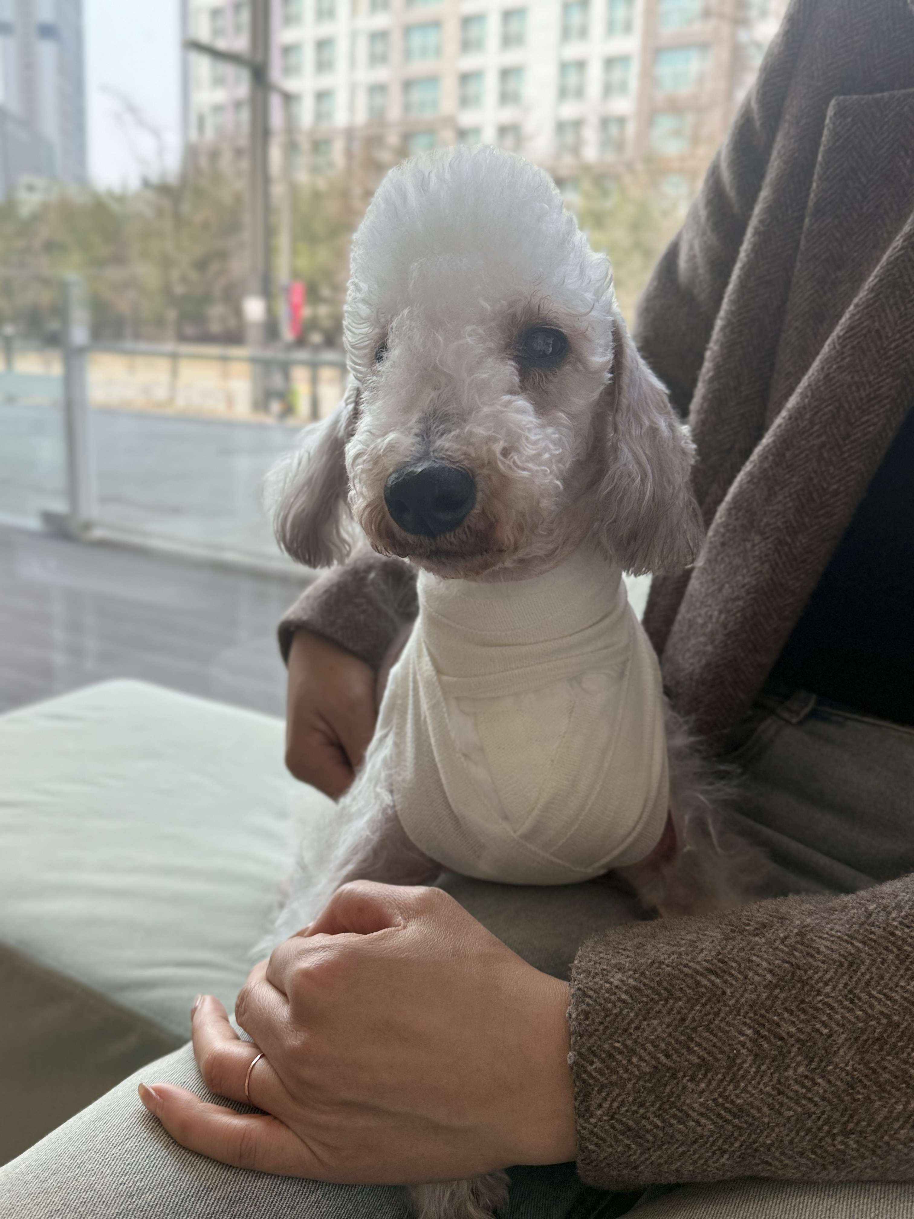 리뷰 사진 2