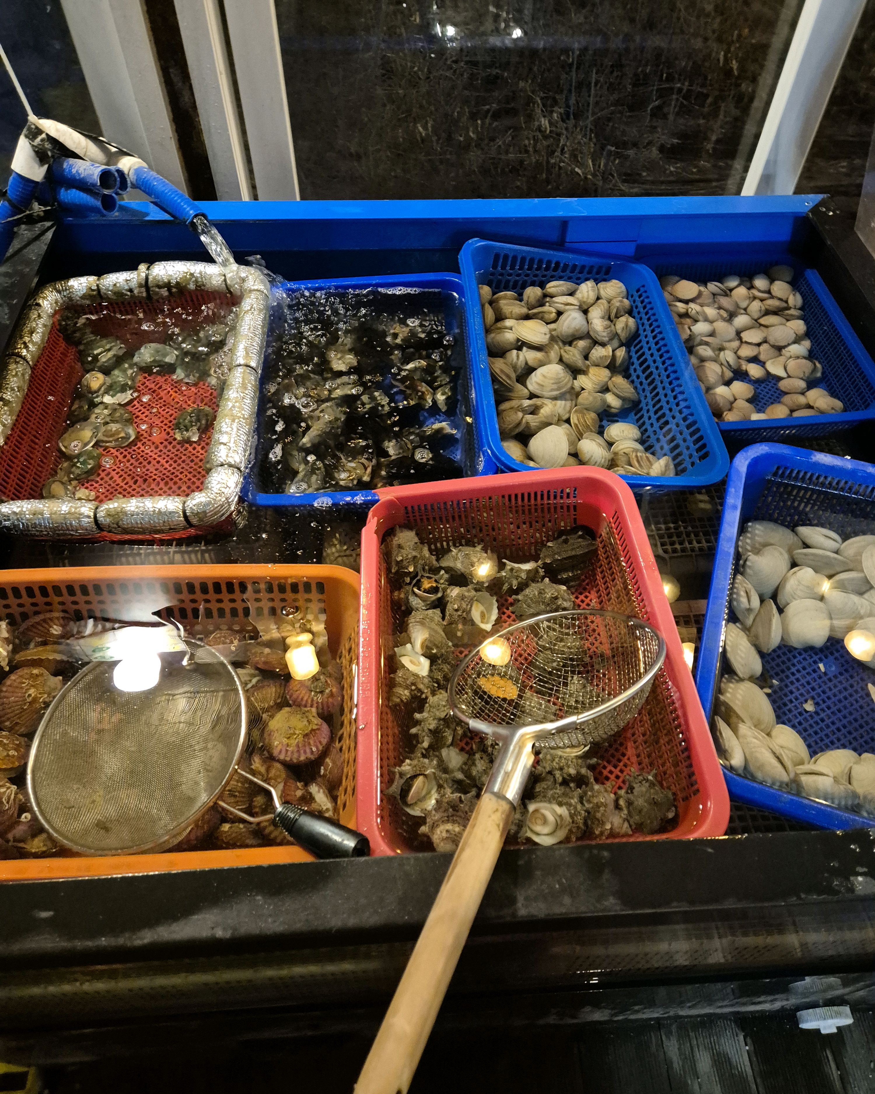 [을왕리 맛집 별빛조개포차 을왕리점] 직접 가본 로컬 리뷰