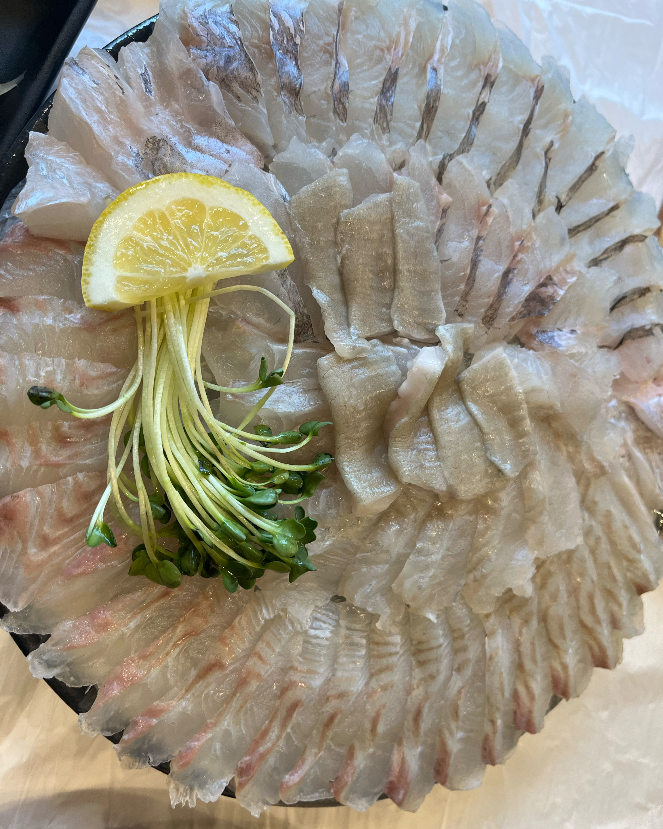 [춘천 맛집 사거리횟집 온의점] 직접 가본 로컬 리뷰