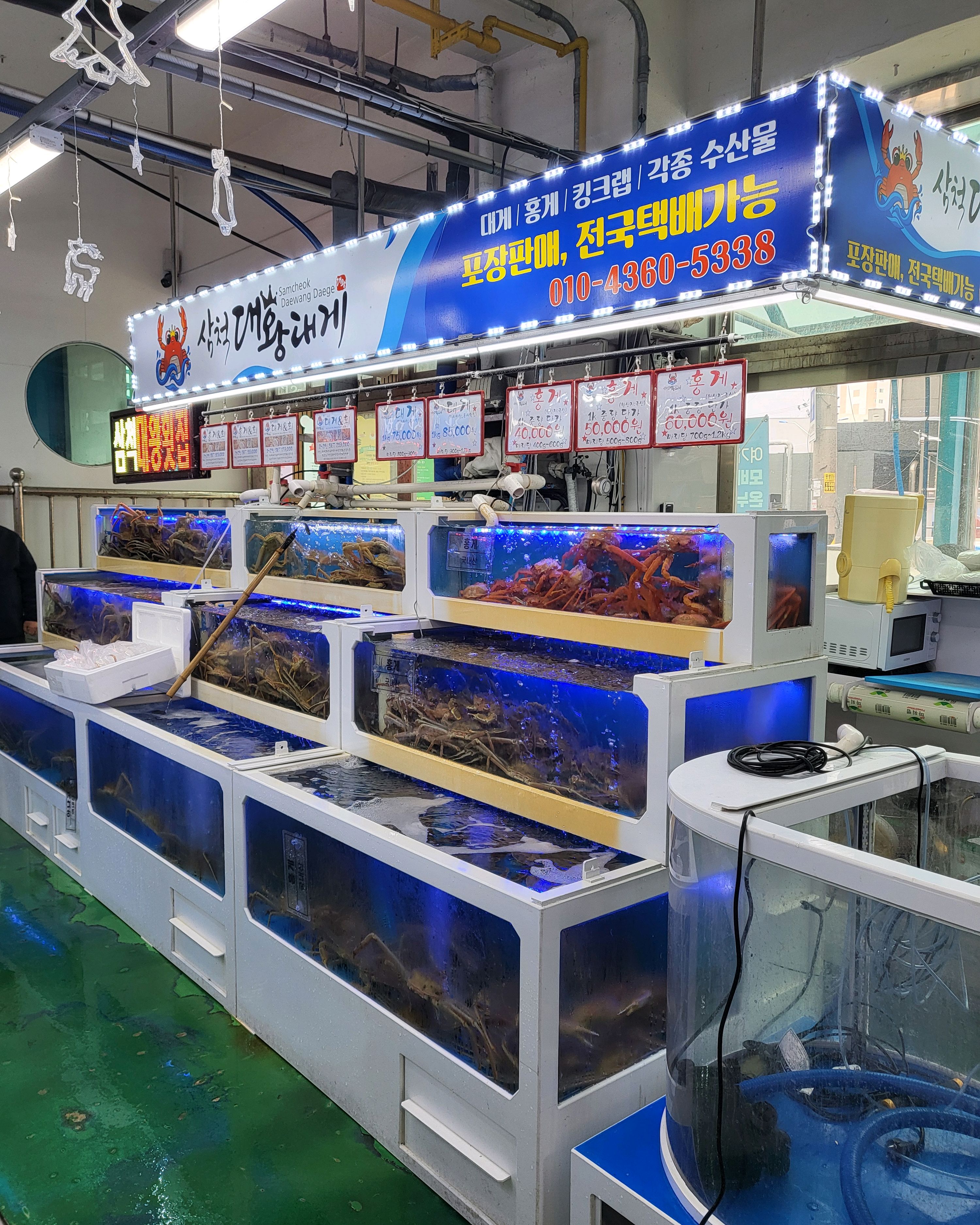 [삼척 맛집 삼척대왕횟집] 직접 가본 로컬 리뷰