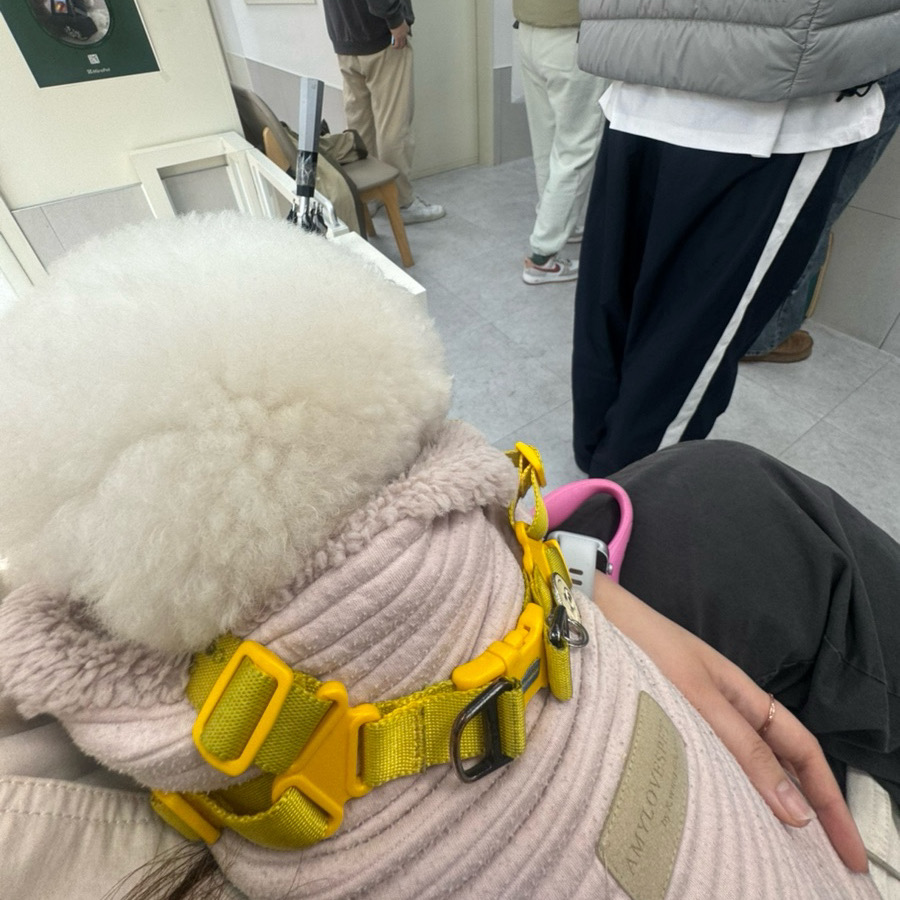 리뷰 사진 1