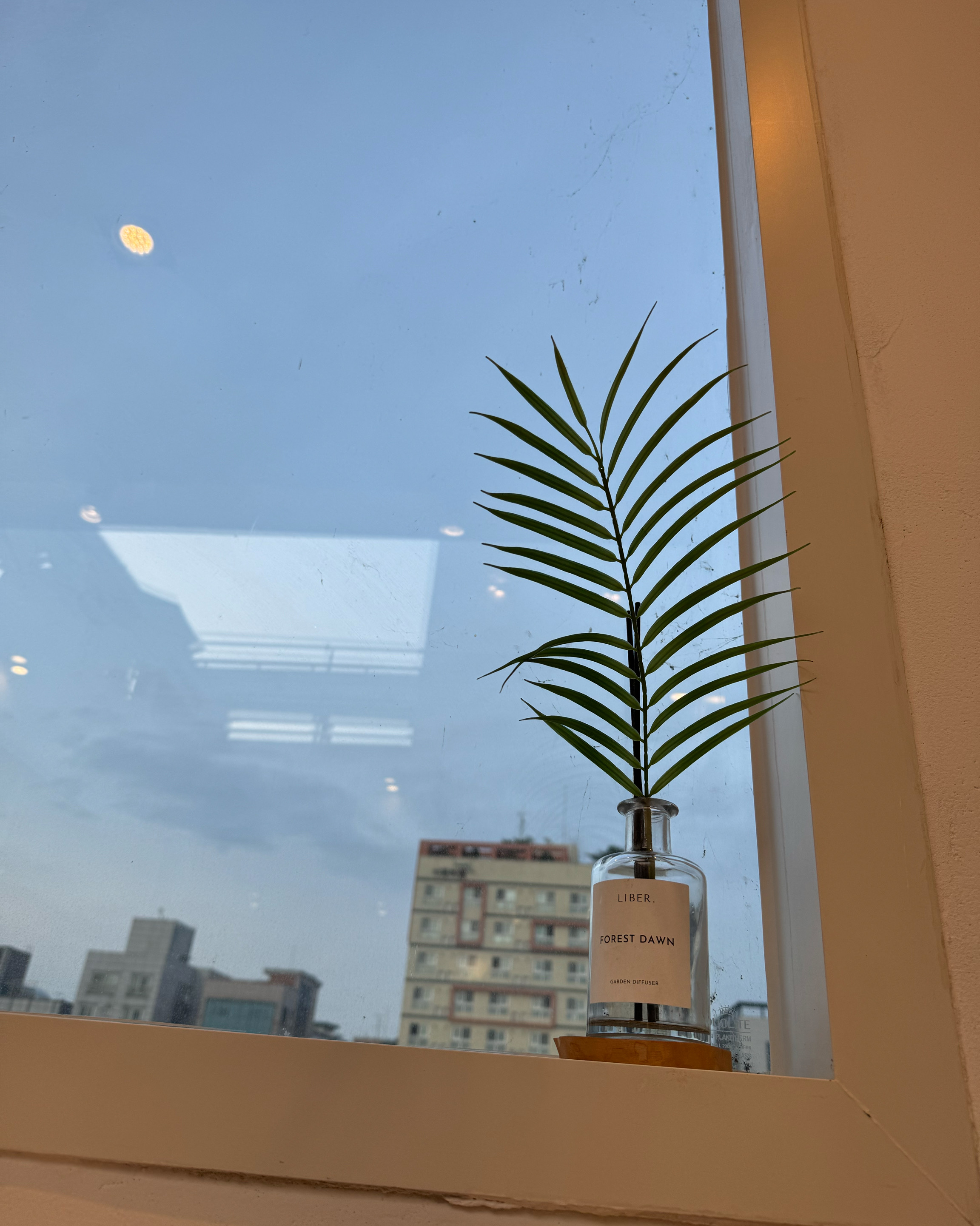 신림역 맛집 디자이너리 카페 내돈내산 찐 리뷰 일기