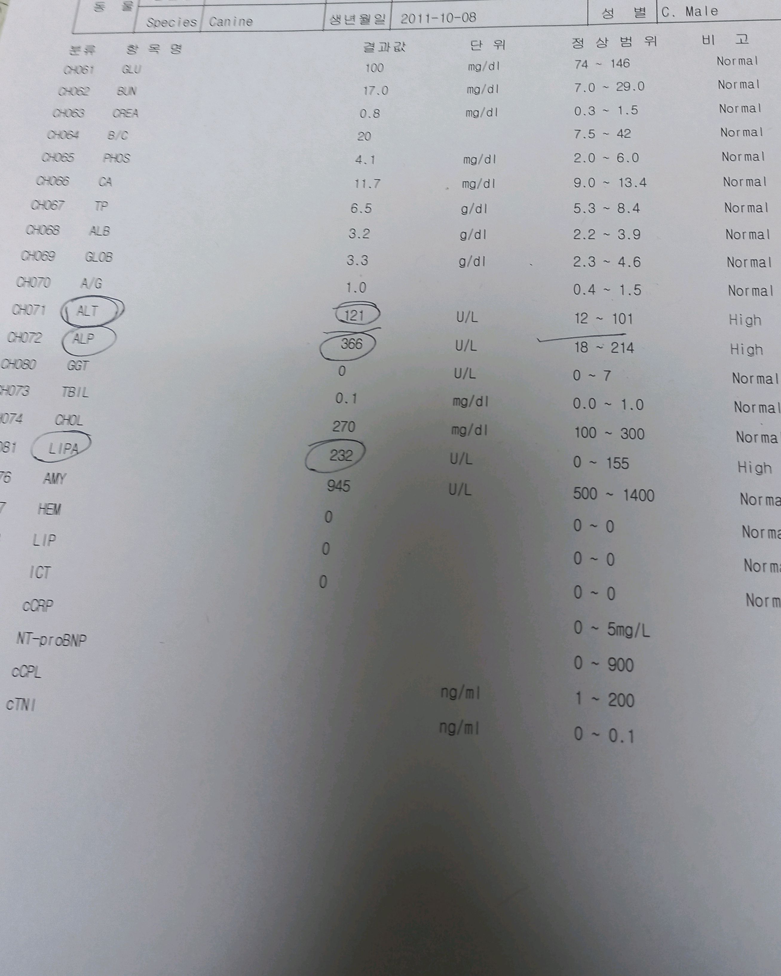 리뷰 사진 1