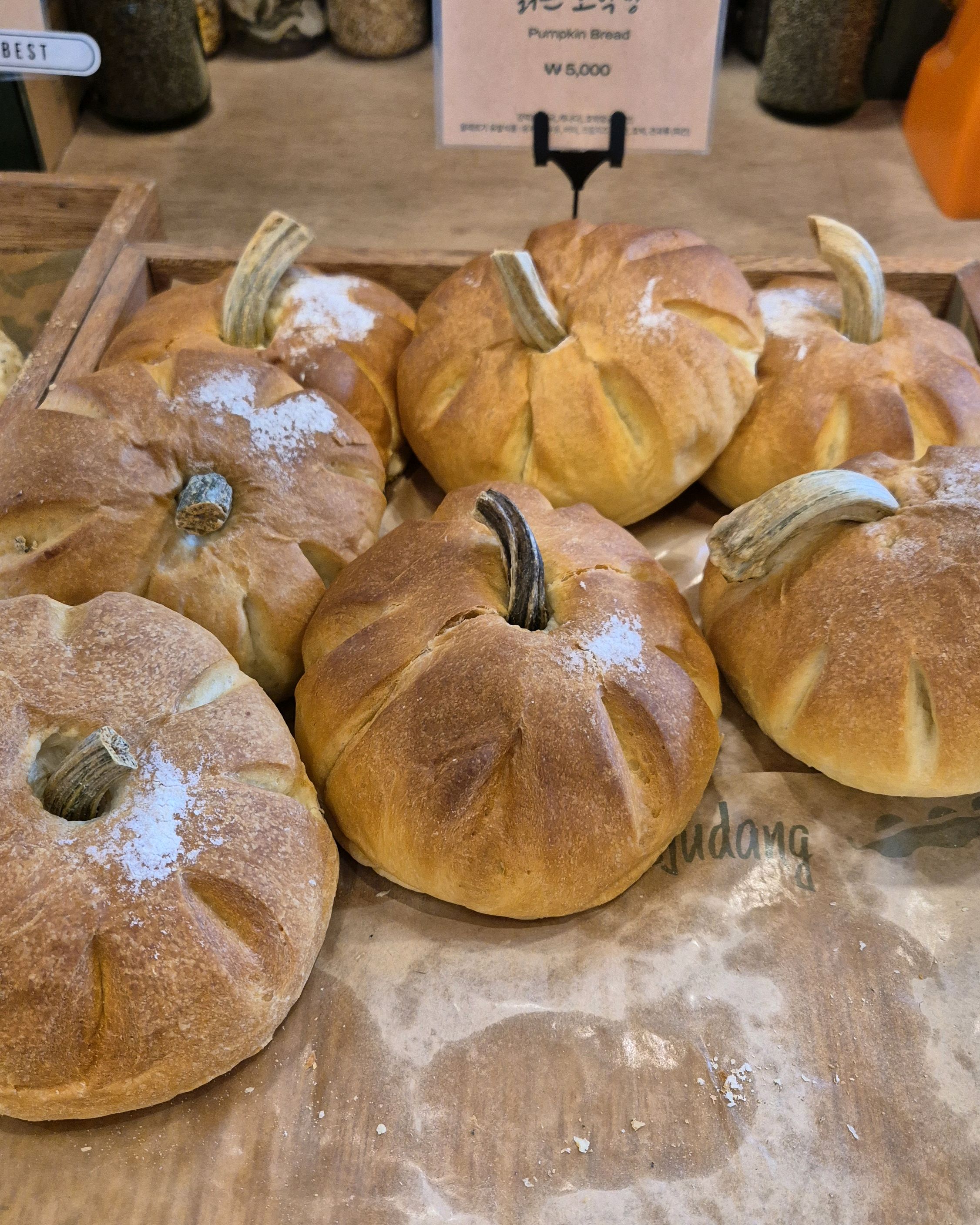 [애월 맛집 제주당] 직접 가본 로컬 리뷰