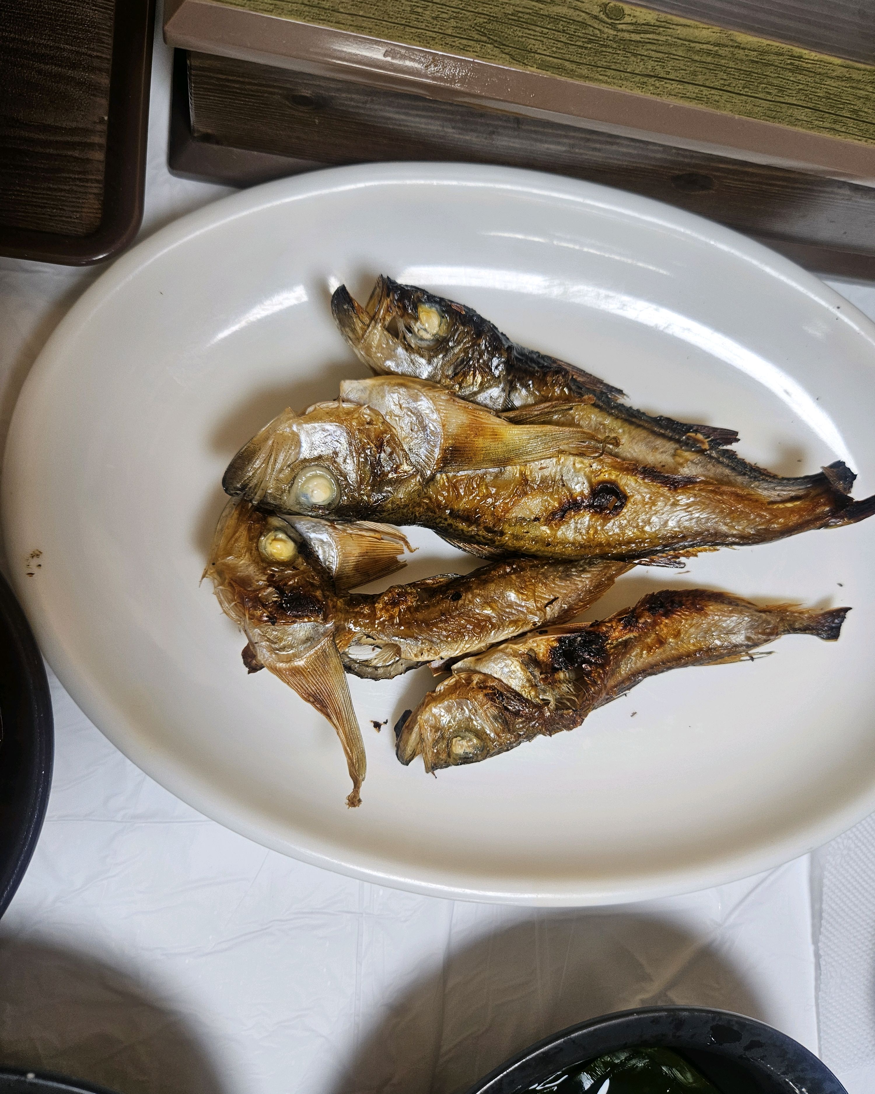 [동해 맛집 거북이횟집곰치국] 직접 가본 로컬 리뷰