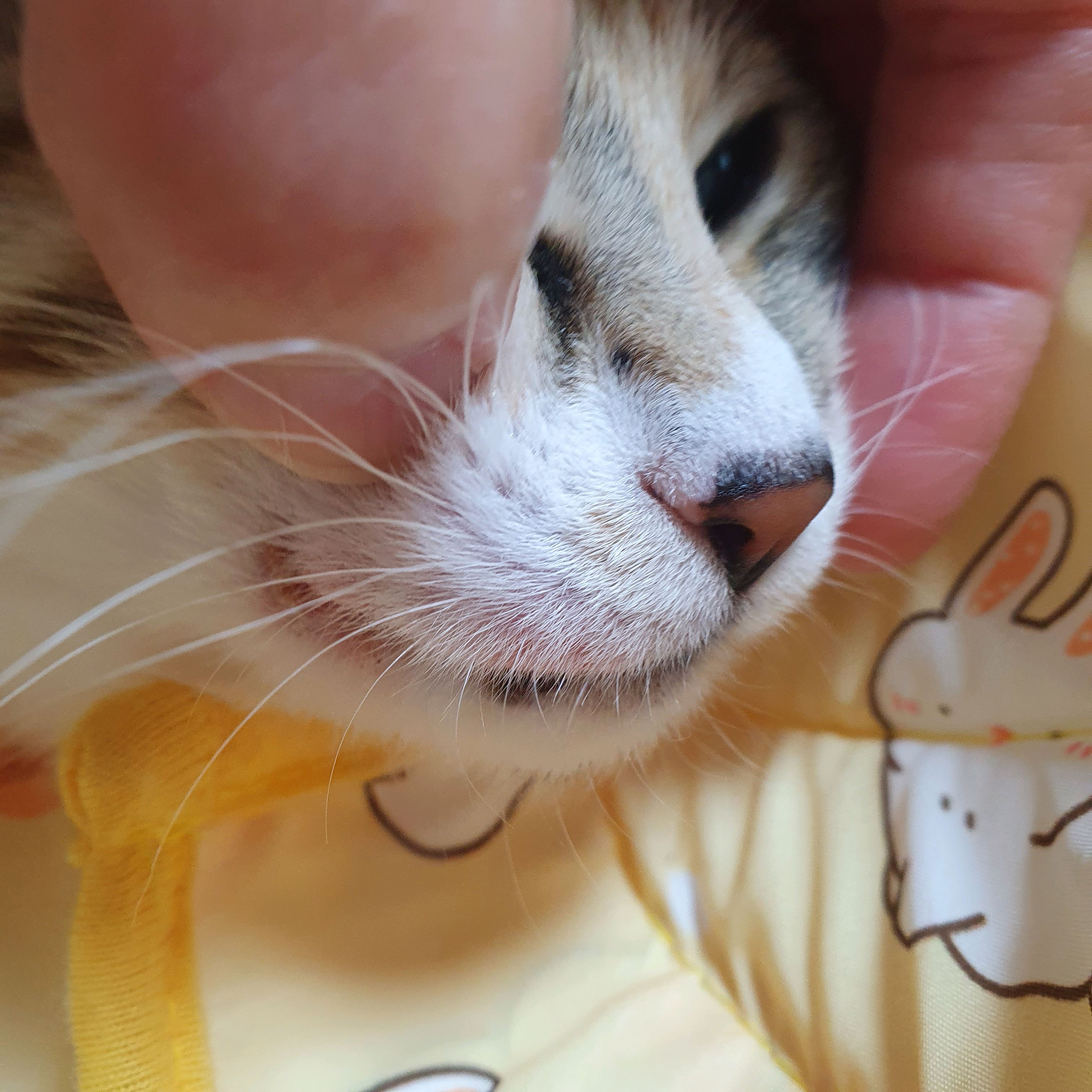 리뷰 사진 1