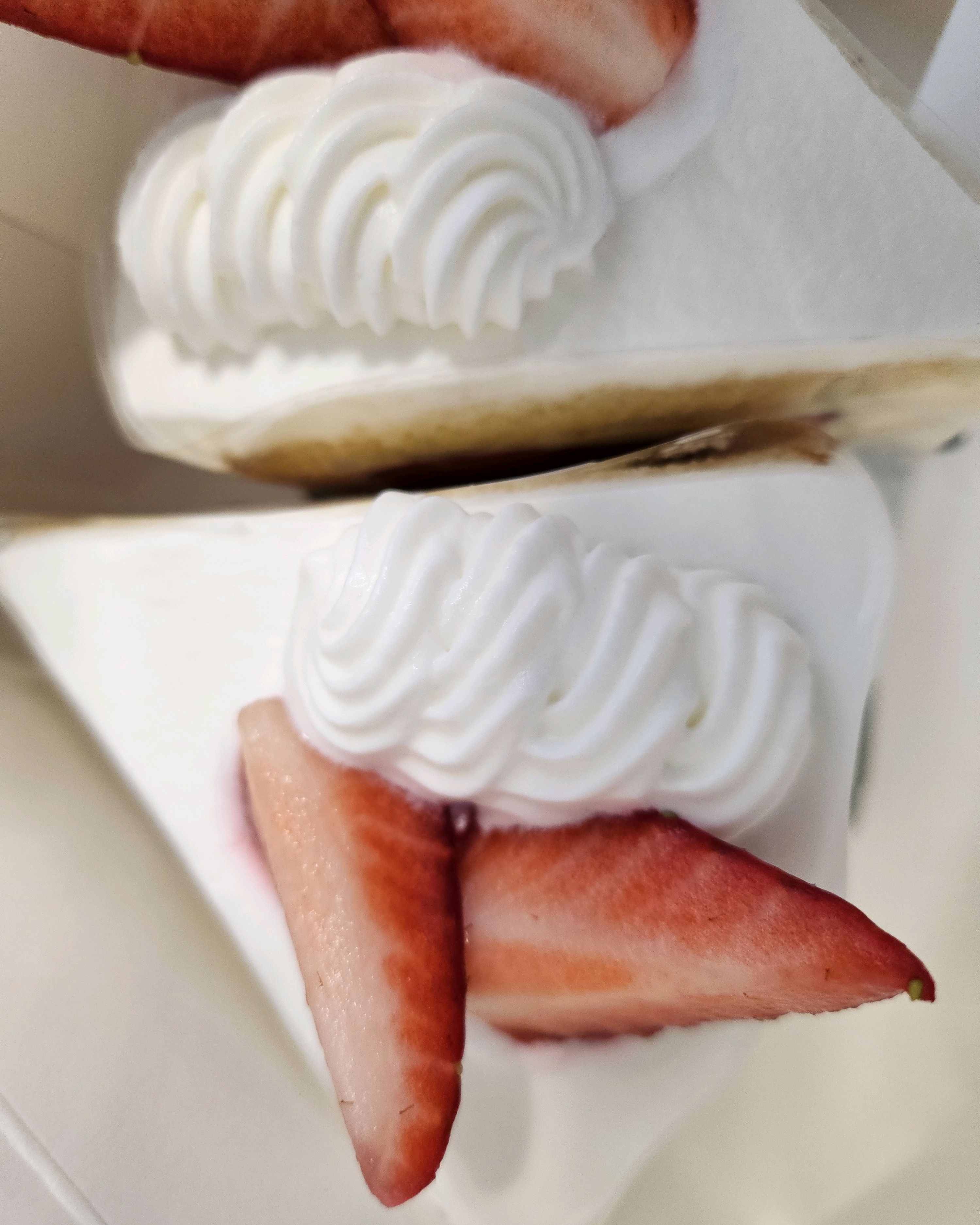 [동해 맛집 콩키] 직접 가본 로컬 리뷰